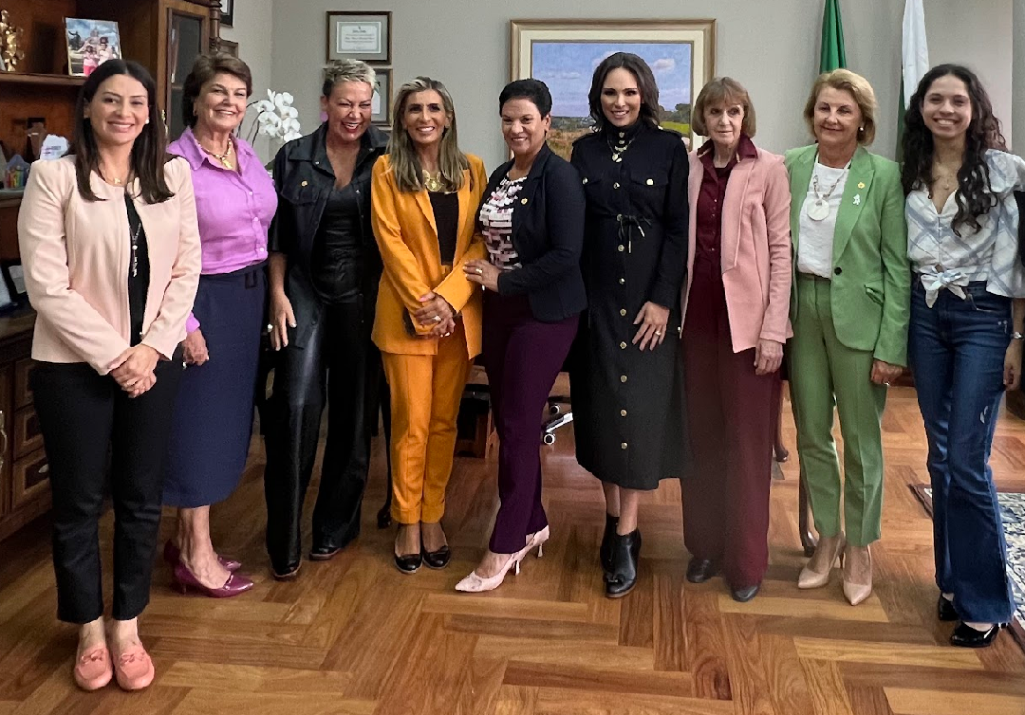 Bancada Feminina da Assembleia solicita ao Senado medidas para fortalecer a participação das mulheres na política