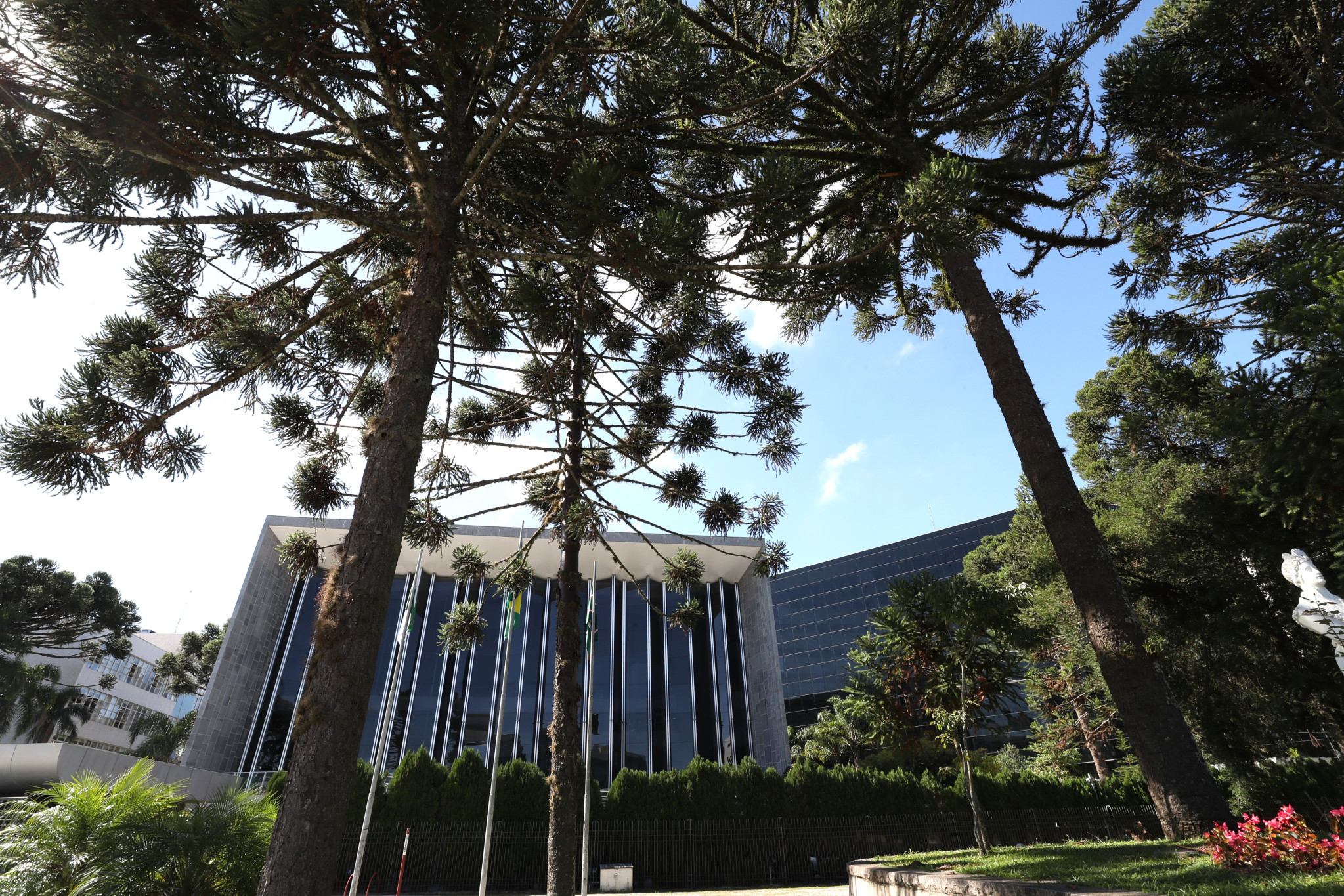 Trânsito, produção leiteira, esportes e meio ambiente estão entre as pautas da Assembleia