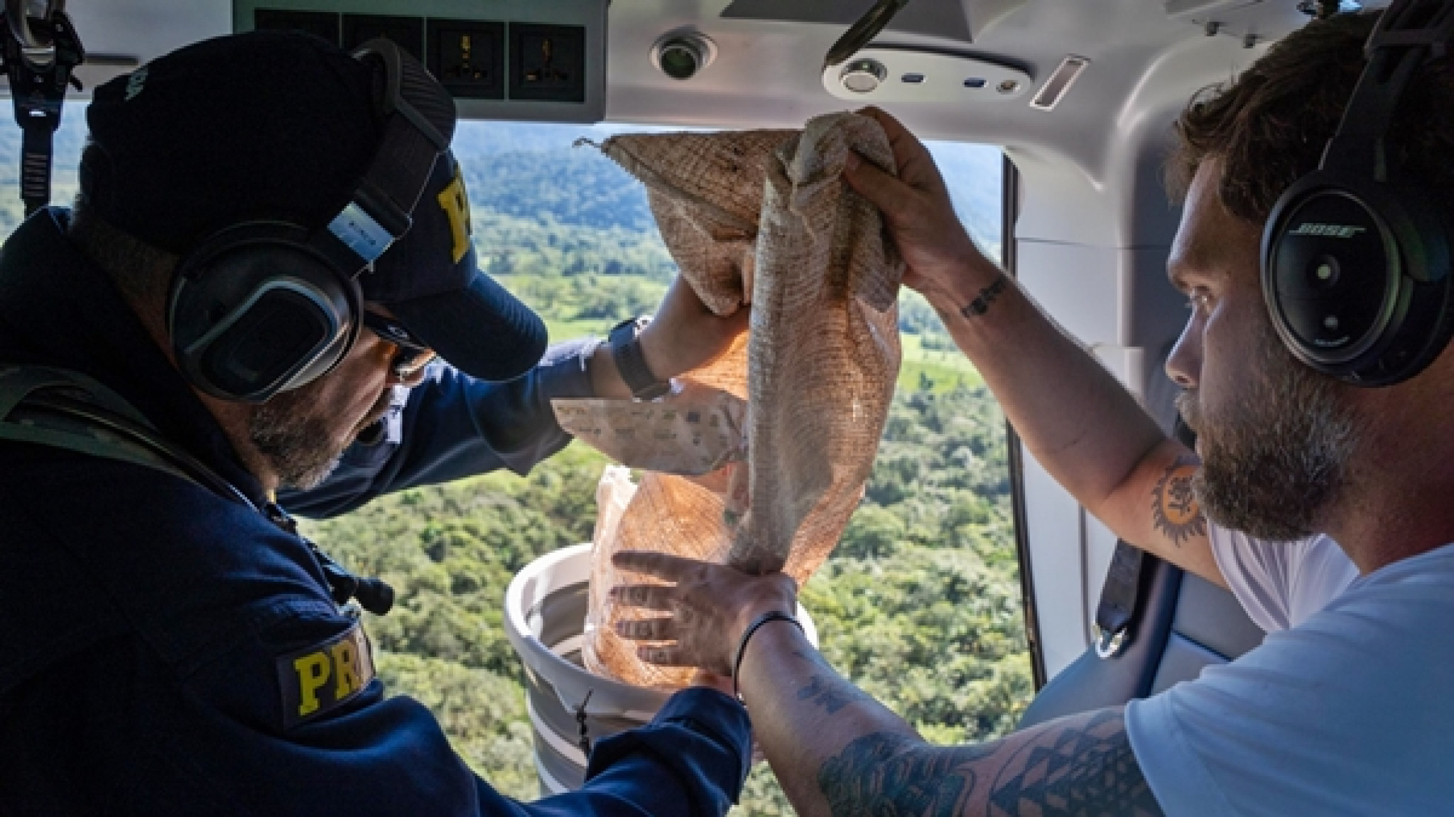 Deputado Goura comemora aprovação do PL da Palmeira Juçara