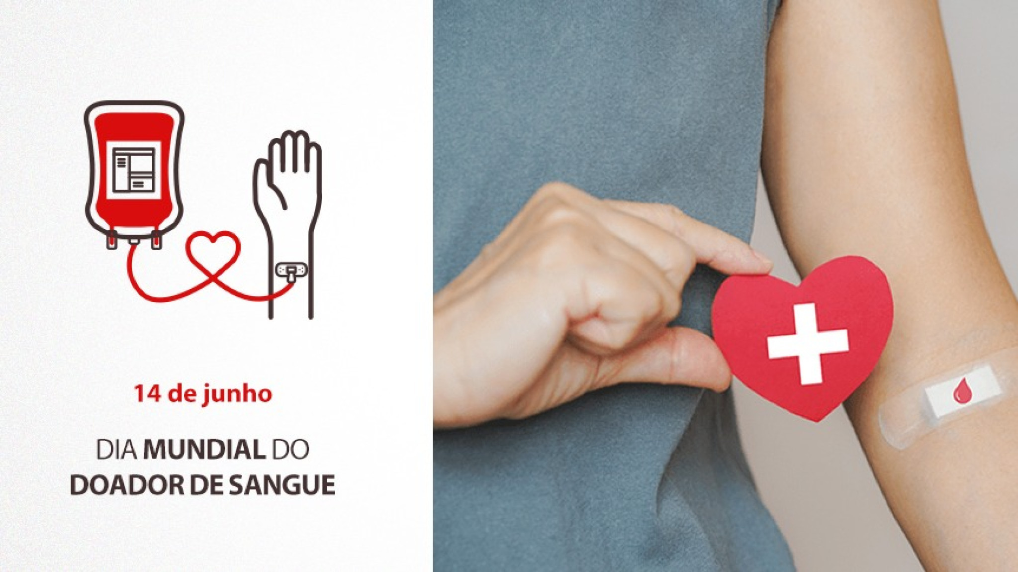 Dia Mundial do Doador celebra e reforça importância da solidariedade