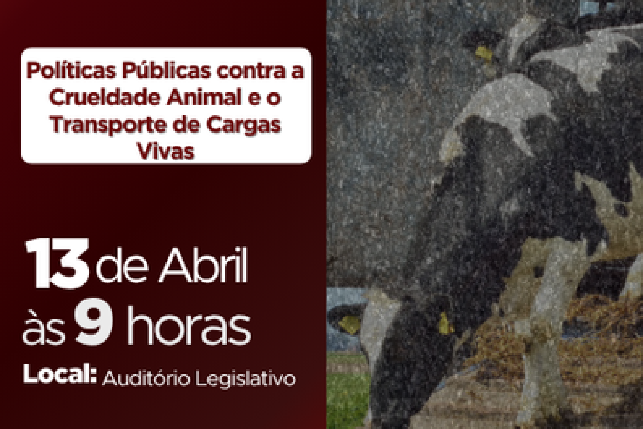 Audiência pública na Assembleia debate exportação de animais vivos e exploração animal no Paraná