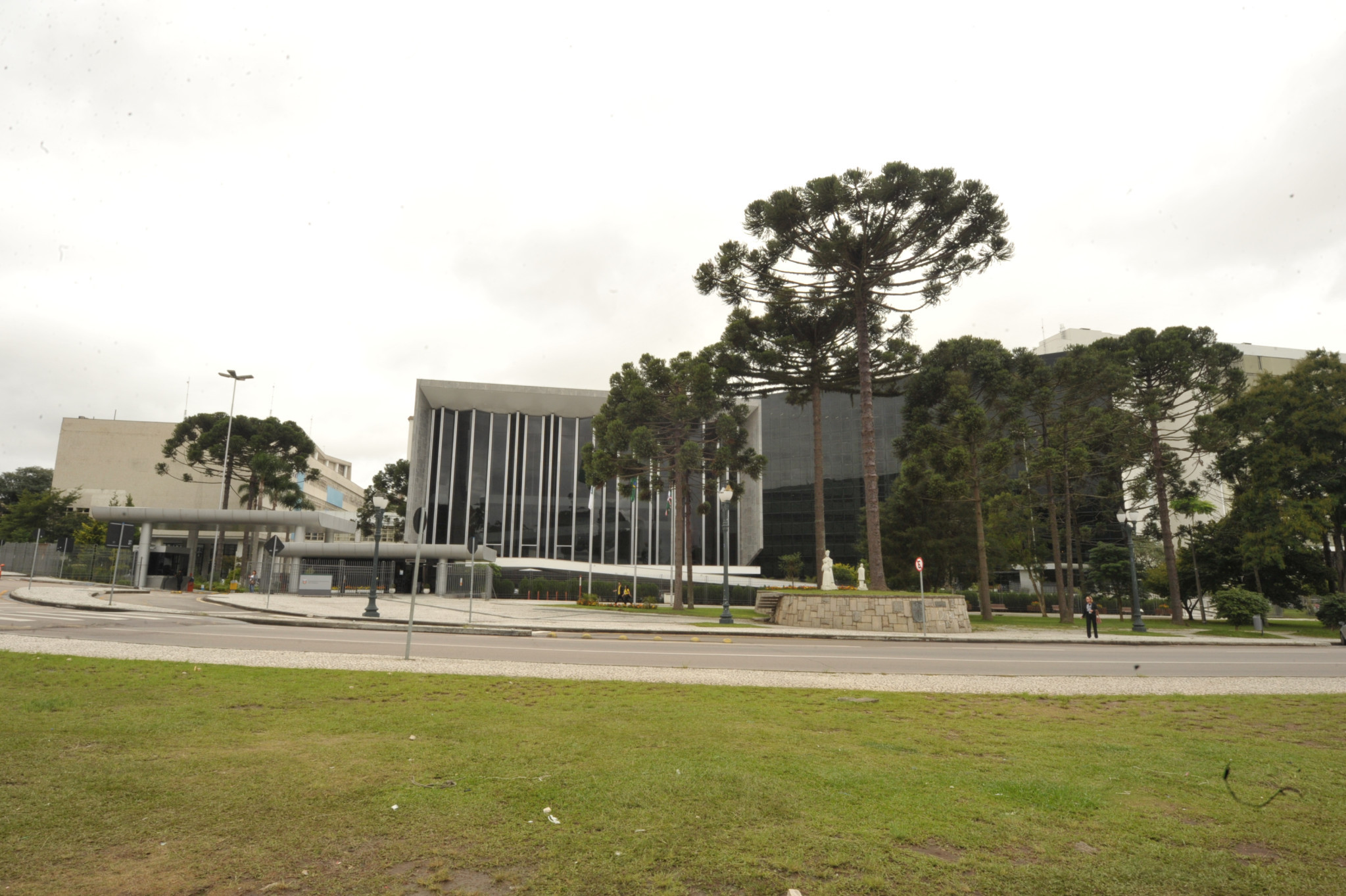 Assembleia vota redação final do projeto que cobra de agressores custo do tratamento de animais agredidos