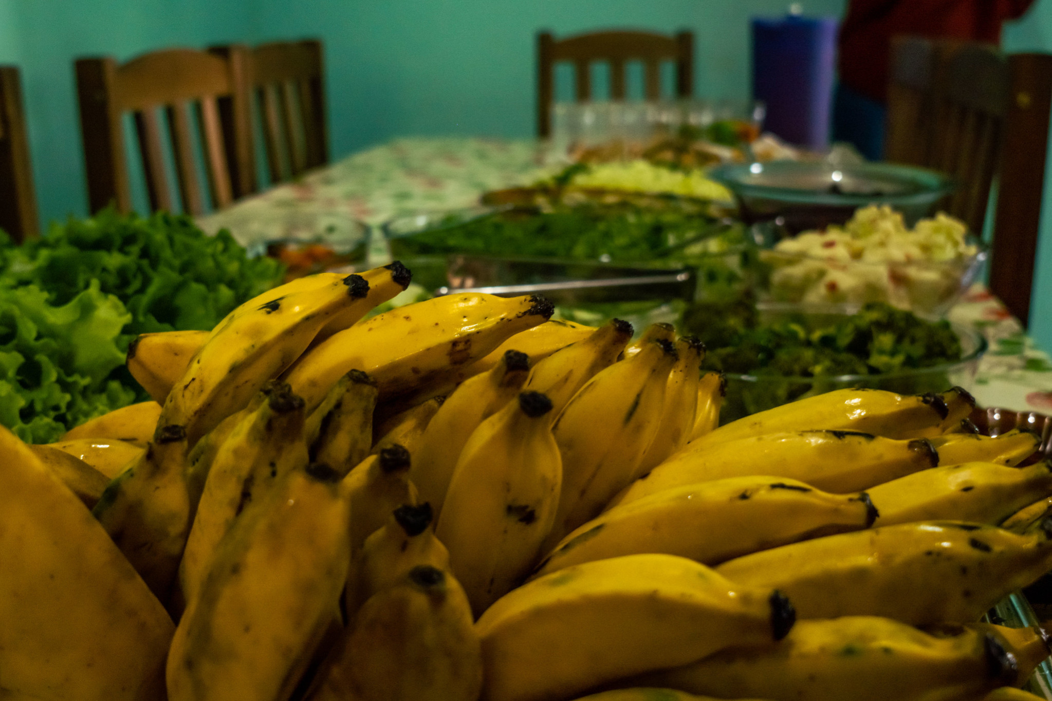 Projeto de Lei propõe mecanismos de apoio à transição agroecológica no Paraná