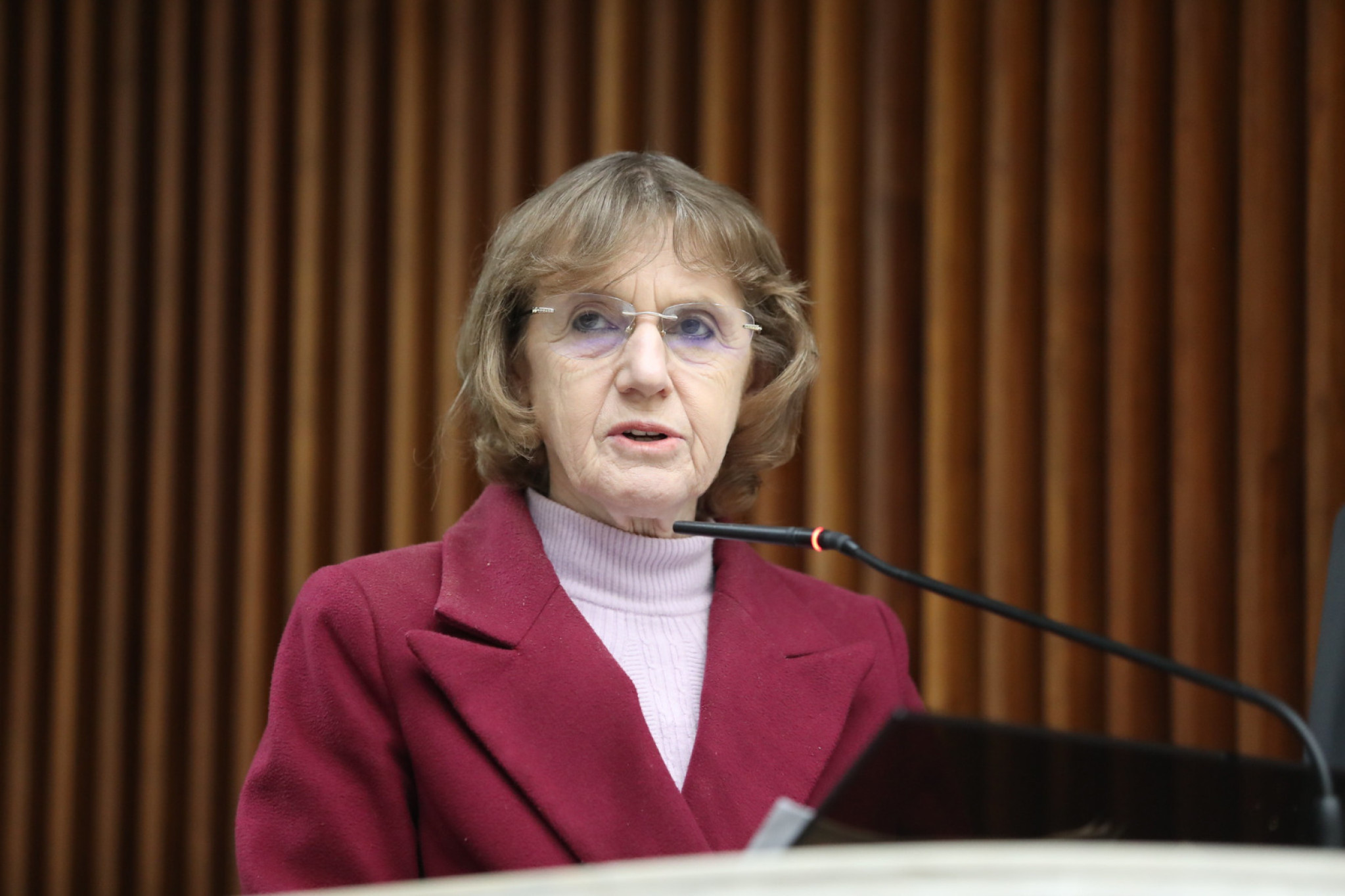 Deputada Luciana Rafagnin (PT) propõe ampliação do Programa Leite das Crianças para enfrentar crise no setor leiteiro