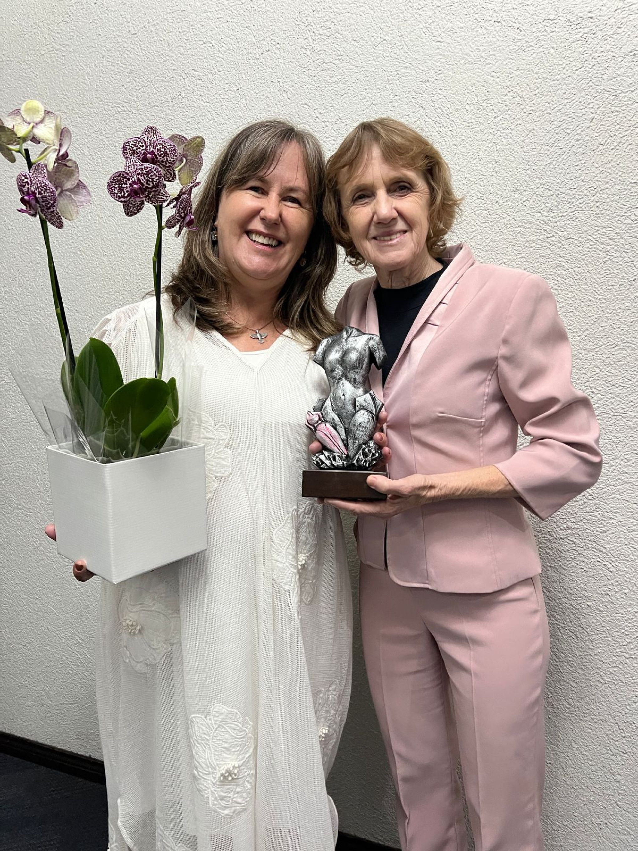 Deputada Luciana Rafagnin (PT) indica superintendente do MDA para receber homenagem da Assembleia