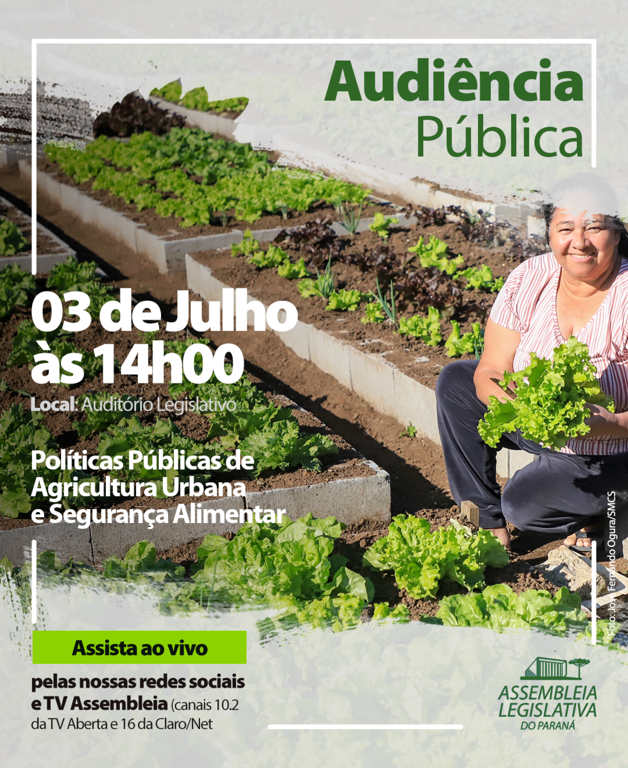 Audiência sobre agricultura urbana e segurança alimentar traz nomes de referência nacional