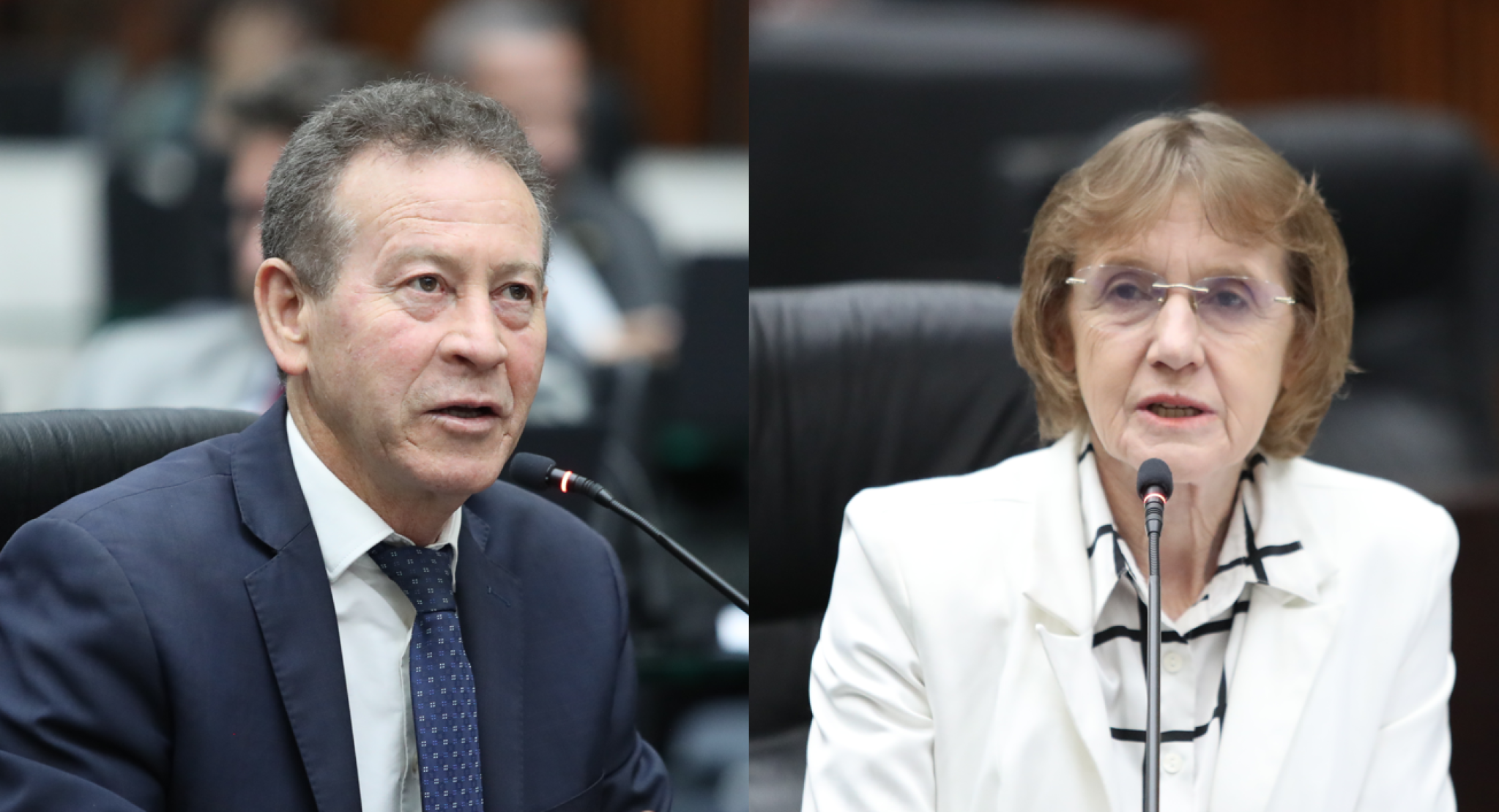 Em requerimento encaminhado à SEED, parlamentares do Bloco PT-PDT solicitam a suspensão do processo de fechamento de Escolas do Campo