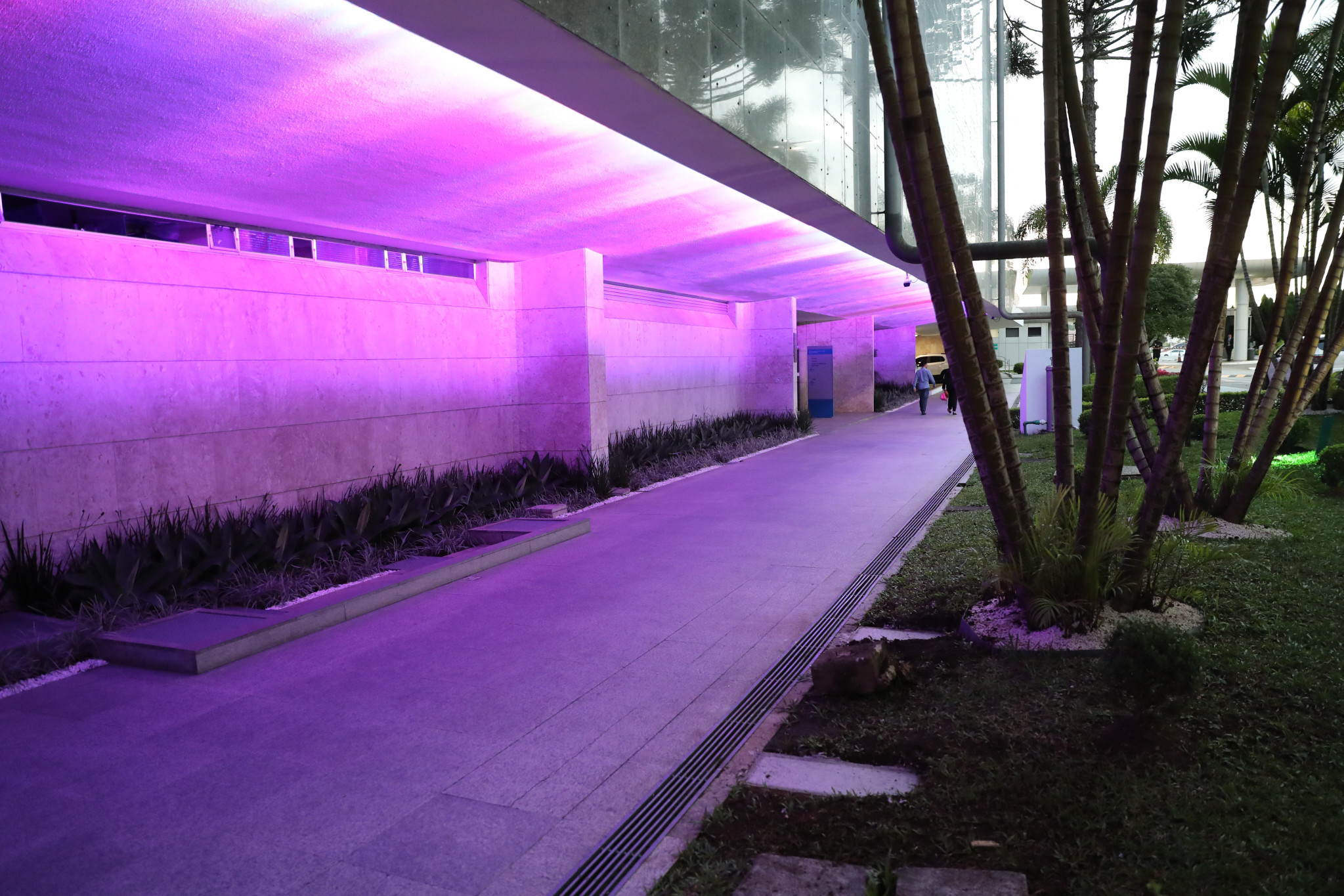 Assembleia iluminada de roxo para diminuir o preconceito contra a epilepsia