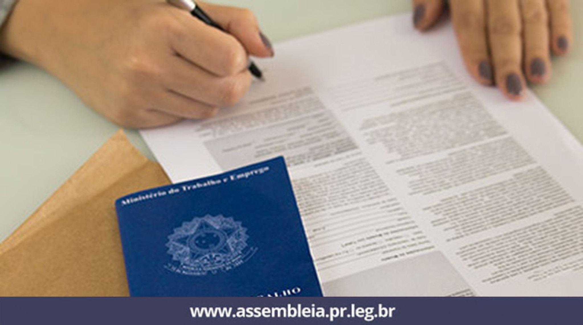 Lei da Assembleia visa a qualificação de mulheres vítimas de violência