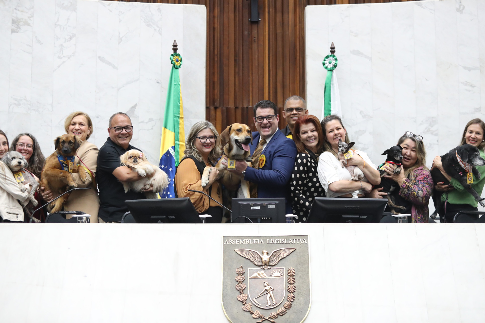 Assembleia celebra o Setembro Caramelo, mês que incentiva a adoção responsável de pets