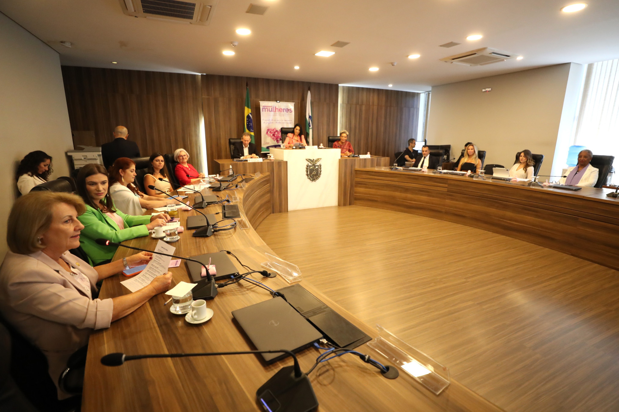 Audiência Pública alusiva ao Dia Internacional da Mulher debate Política, Comunicação, Negócios e Justiça