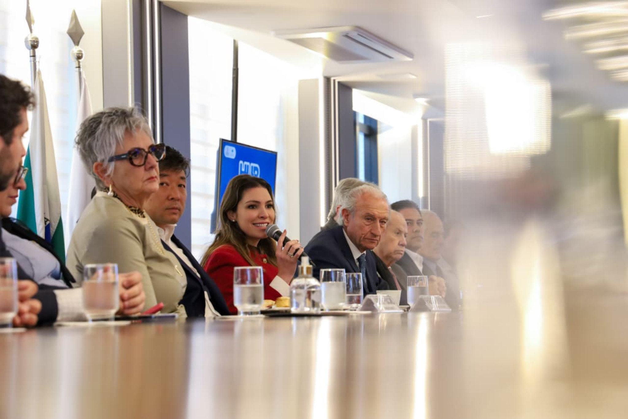 Deputada Maria Victoria (PP) apresenta o “Hub do Bem” em reunião da diretoria da ACP