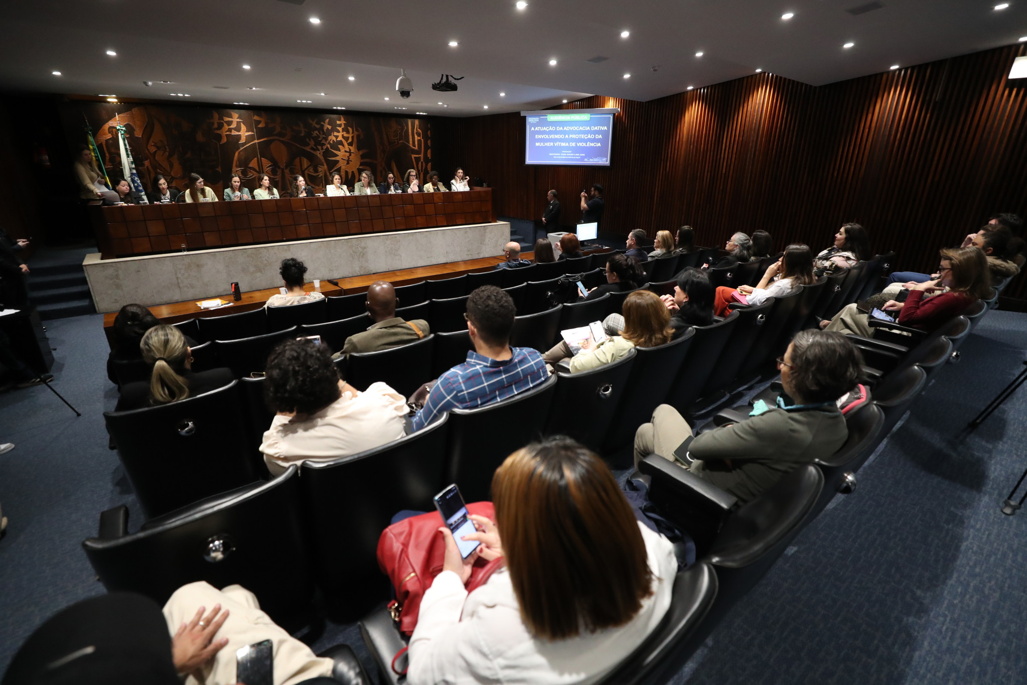 Assembleia Legislativa debate ampliação da advocacia dativa para proteger mulheres vítimas de violência