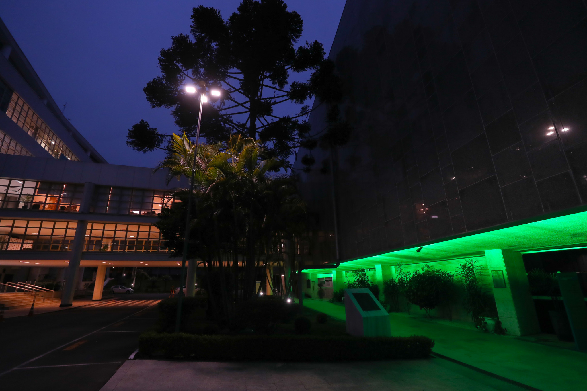 Assembleia Legislativa do Paraná se ilumina de verde pelo combate ao preconceito contra pessoas com nanismo