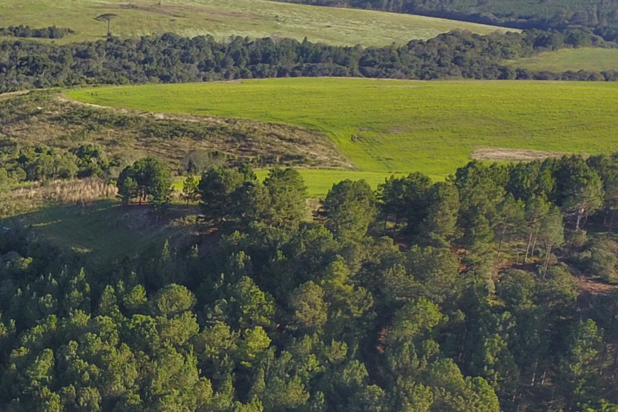 Ações de proteção ao meio ambiente serão apresentadas durante o Grande Expediente da sessão plenária desta terça