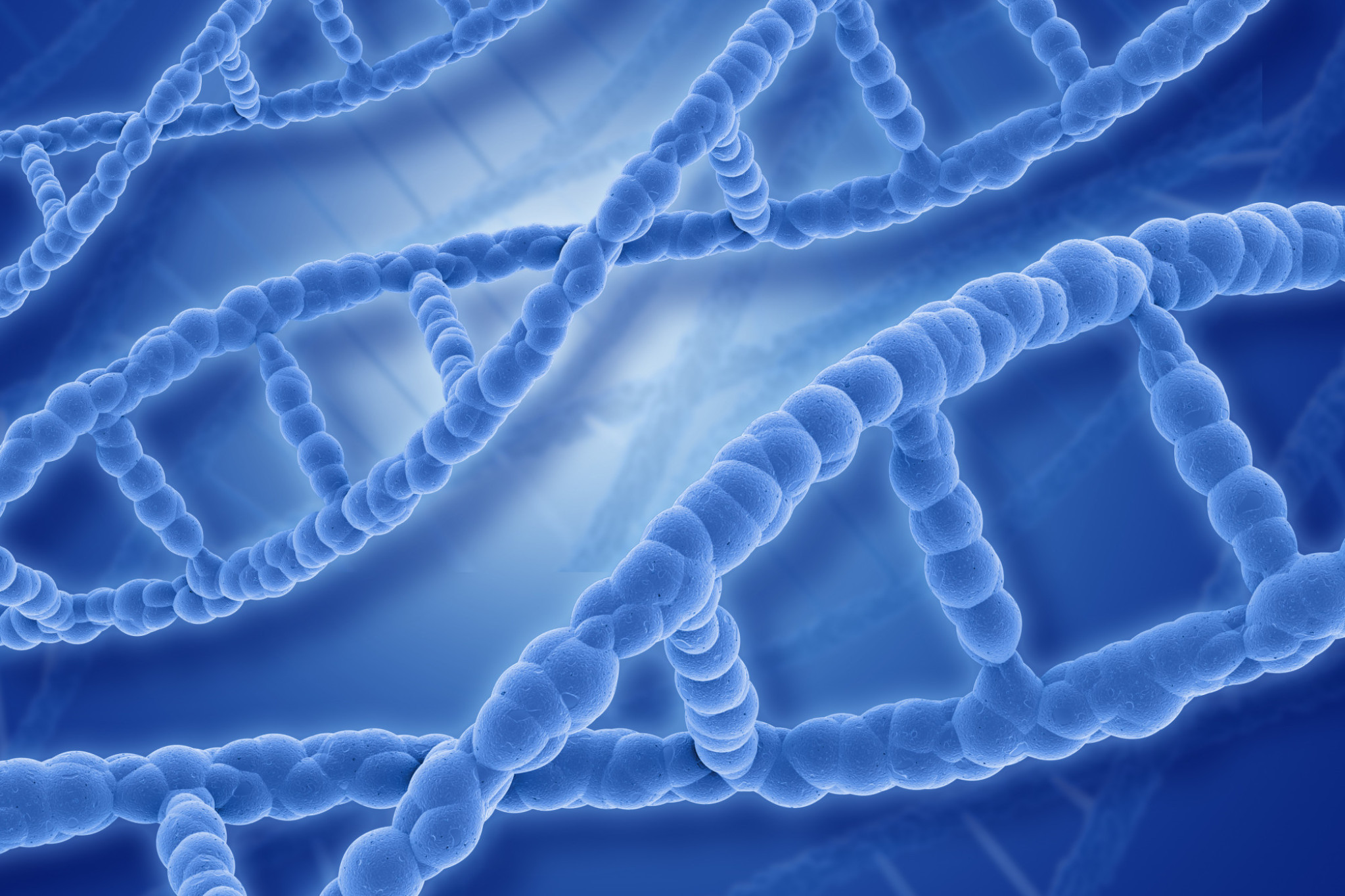Paraná tem o Dia Estadual de Conscientização da Esclerose Tuberosa ou Síndrome de Bourneville-Pringle
