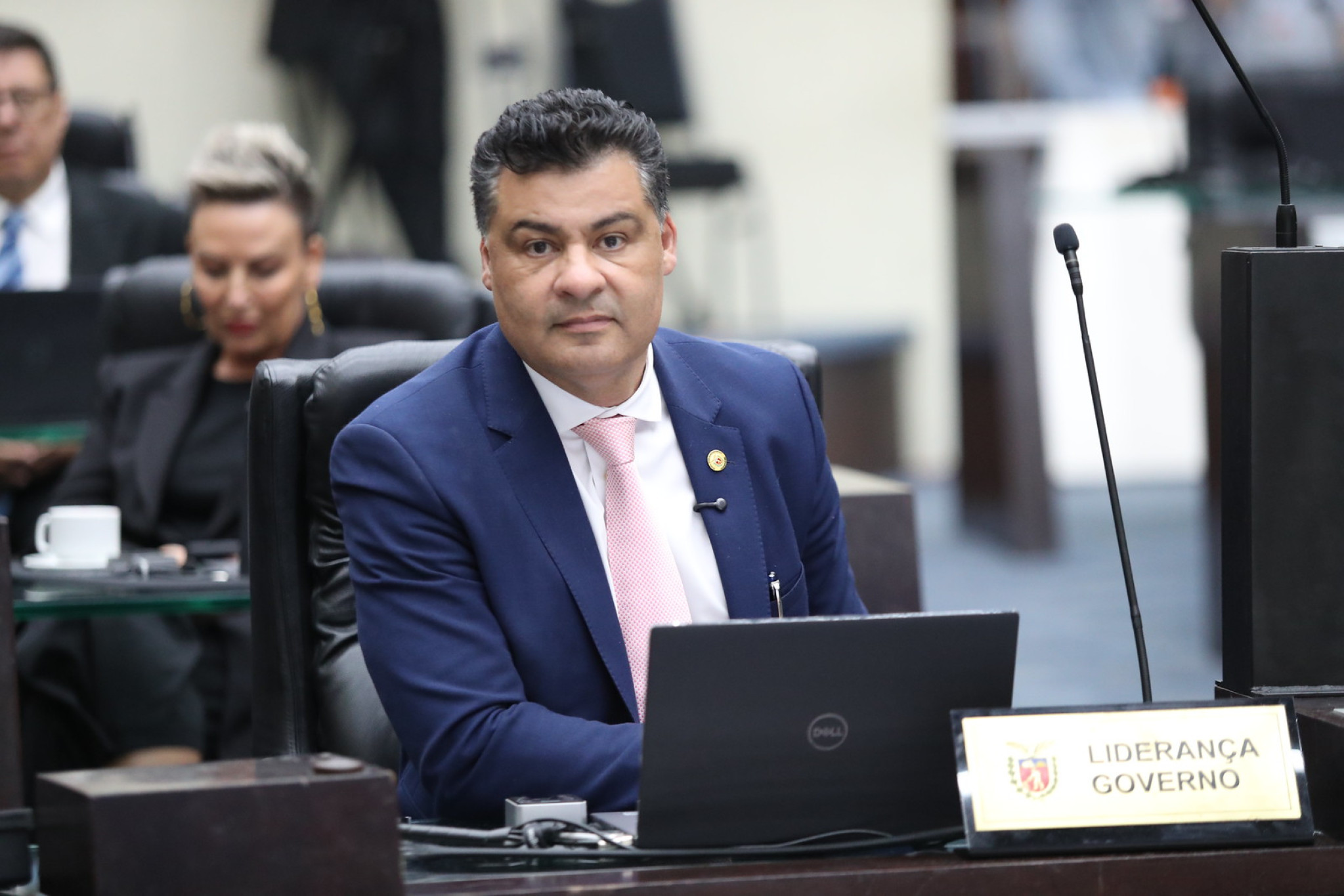 Deputado Marcelo Rangel (PSD) propõe lei que permite coleta e comercialização sustentável do pinhão em áreas de Reserva Legal no Paraná