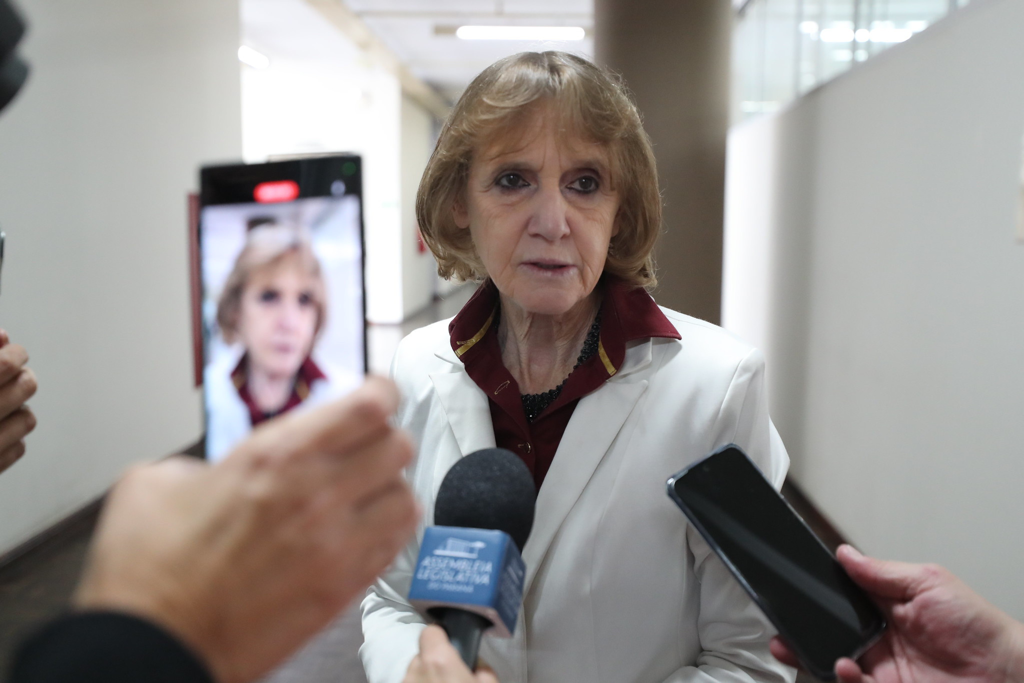 Deputada Luciana Rafagnin (PT) apresenta cinco emendas à LDO de 2024