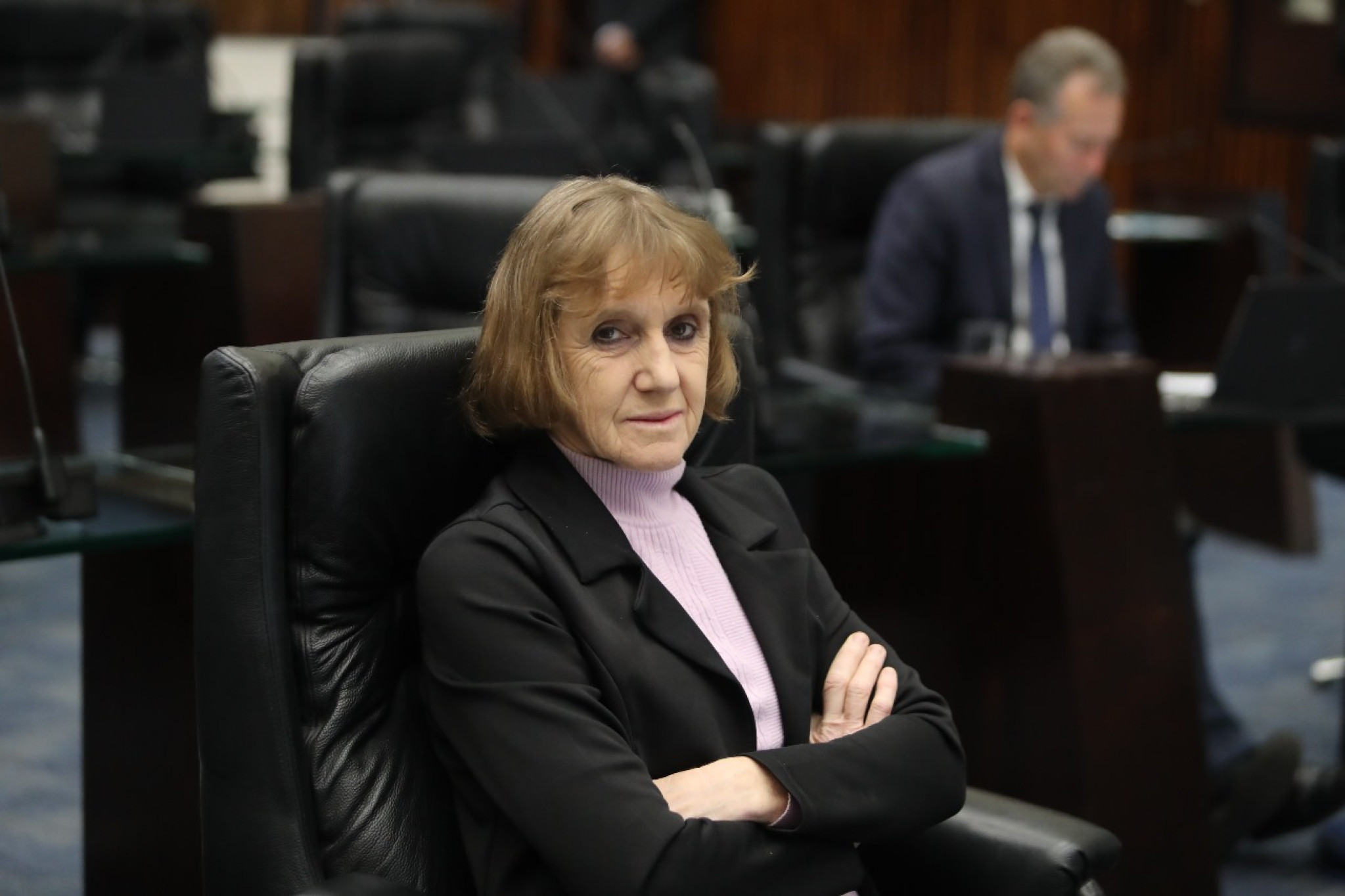 Emendas apresentadas pela deputada Luciana Rafagnin (PT) visam democratizar o Programa Estadual de Segurança Hídrica