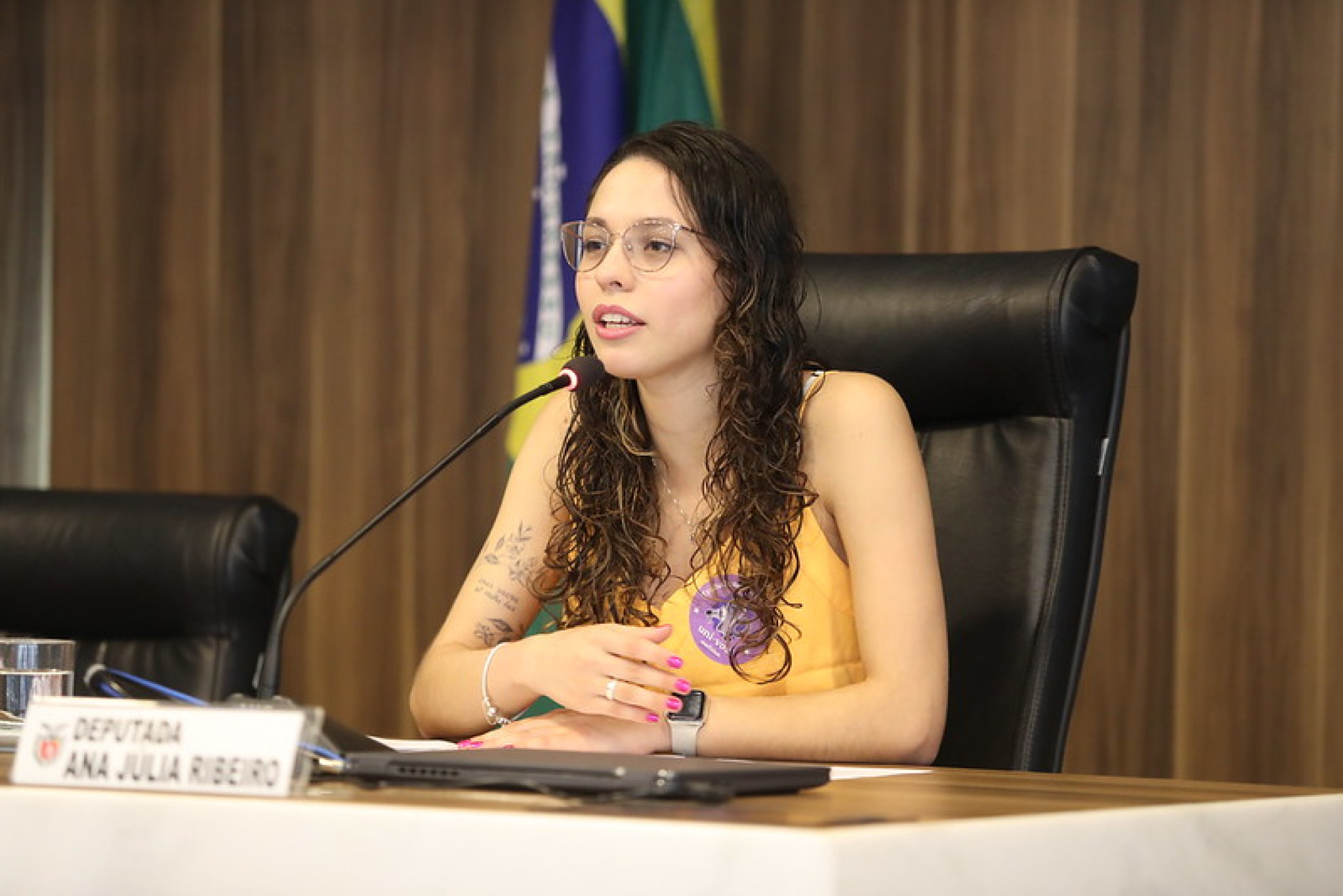 Deputada Ana Júlia propõe campanha permanente contra o assédio nos estádios