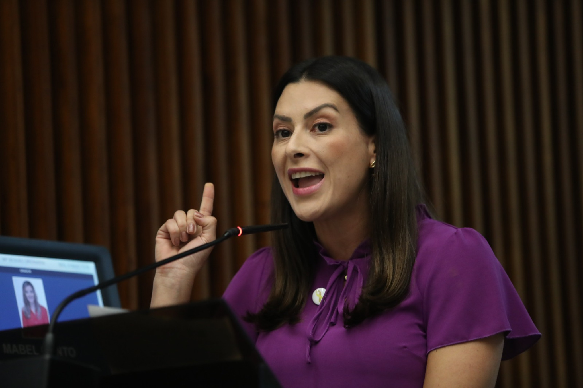 Em discurso no Plenário, deputada Mabel Canto (PSDB) fala sobre investigação do GAECO