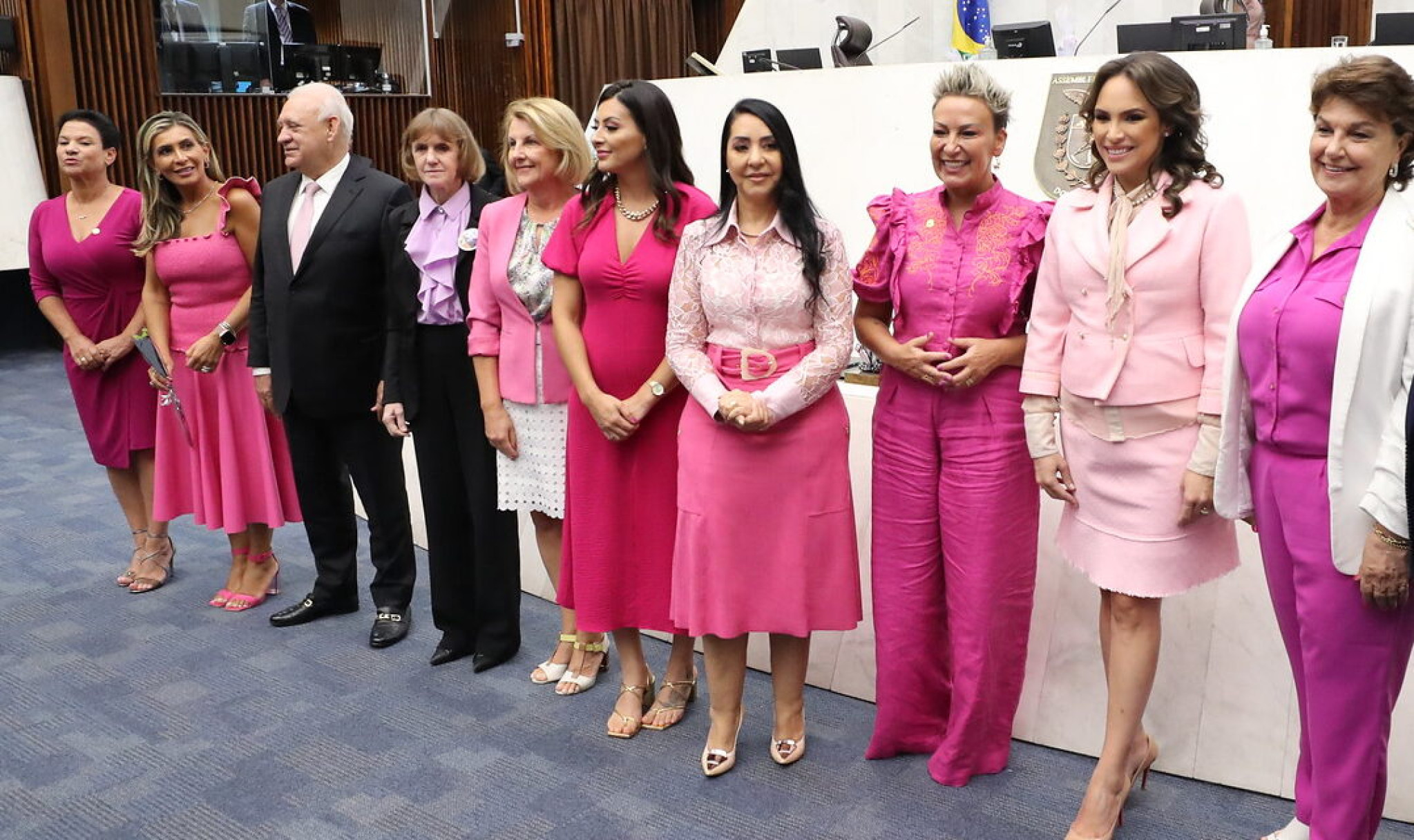 Comissão da Mulher foi fundamental para avanço das mulheres no legislativo paranaense