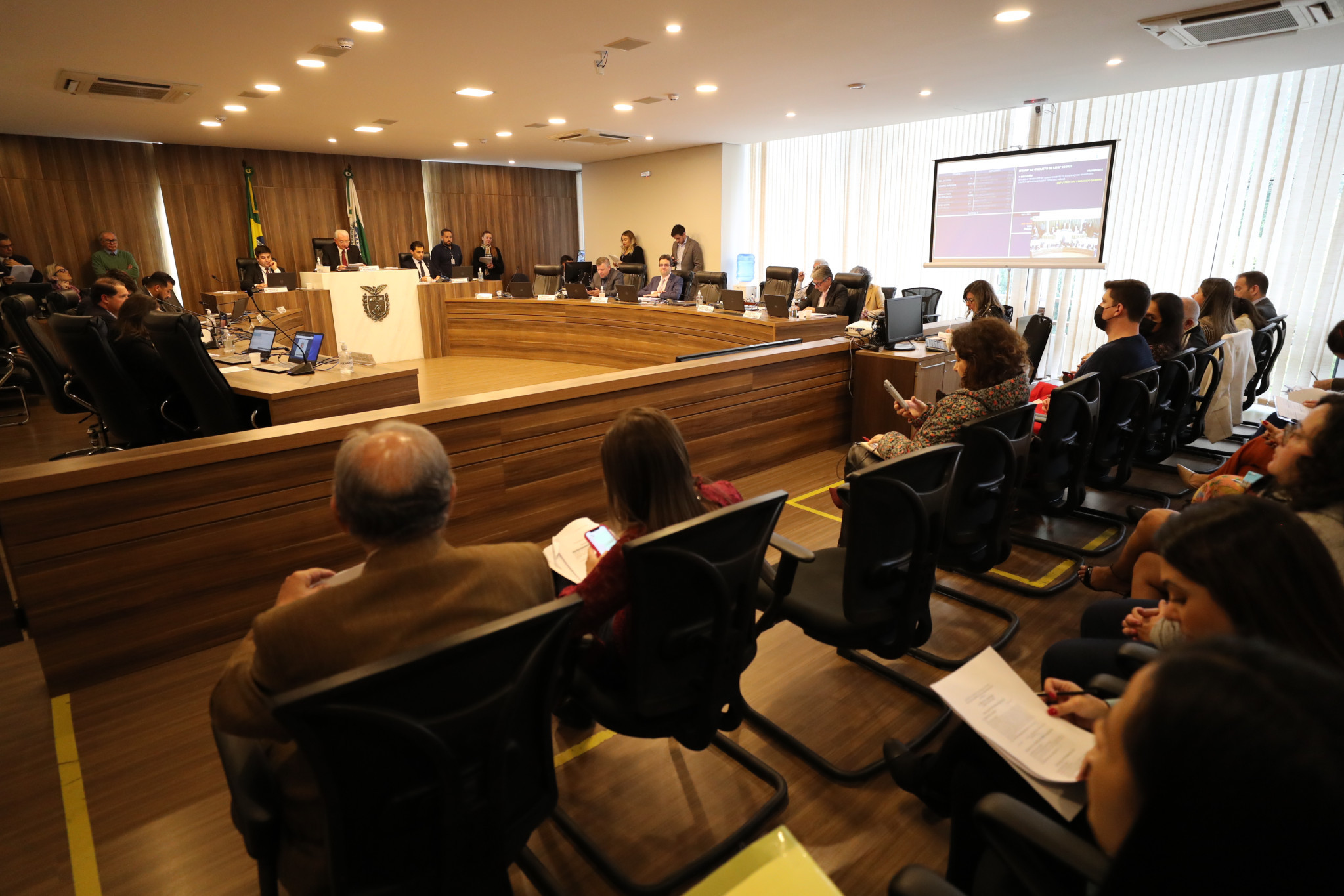 Projeto que permite condução de animais no transporte coletivo é aprovado na CCJ