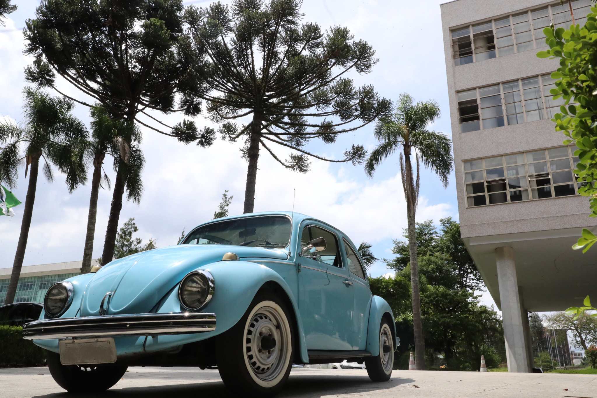 20 de janeiro: dia nacional do Fusca celebra a história do carro mais icônico do país