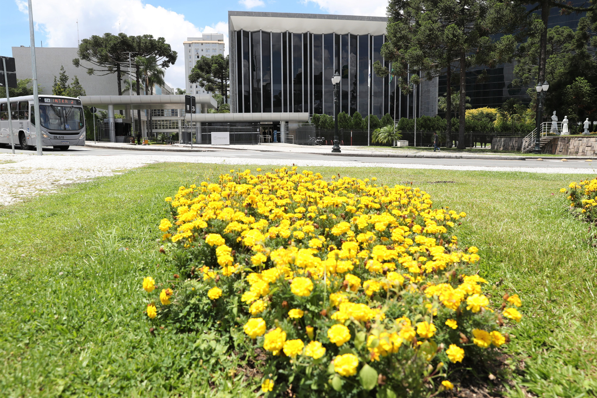 Estudantes do Colégio Estadual Maria Heloisa Casseli visitam a Assembleia