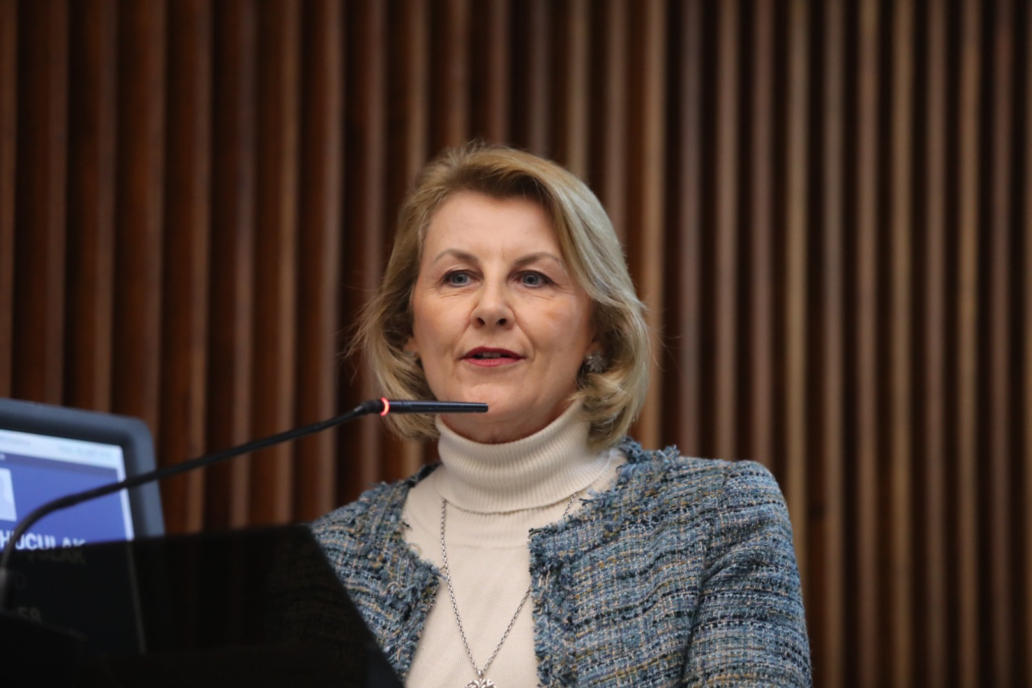 Deputada Márcia Huçulak (PSD) defende cumprimento da lei para evitar mortes no trânsito