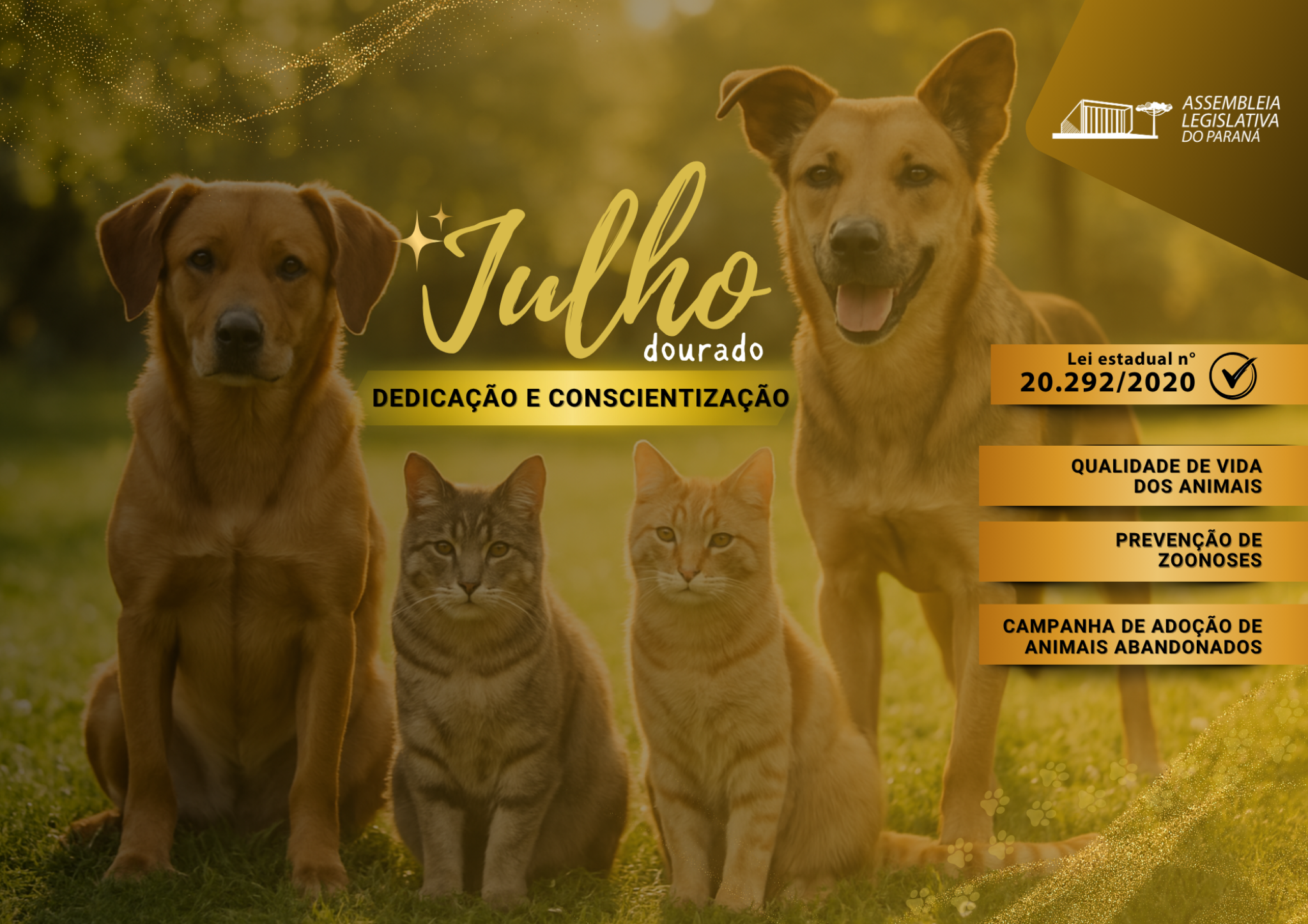 Com mais de 160 milhões de pets no país, Julho Dourado reforça a importância da saúde animal