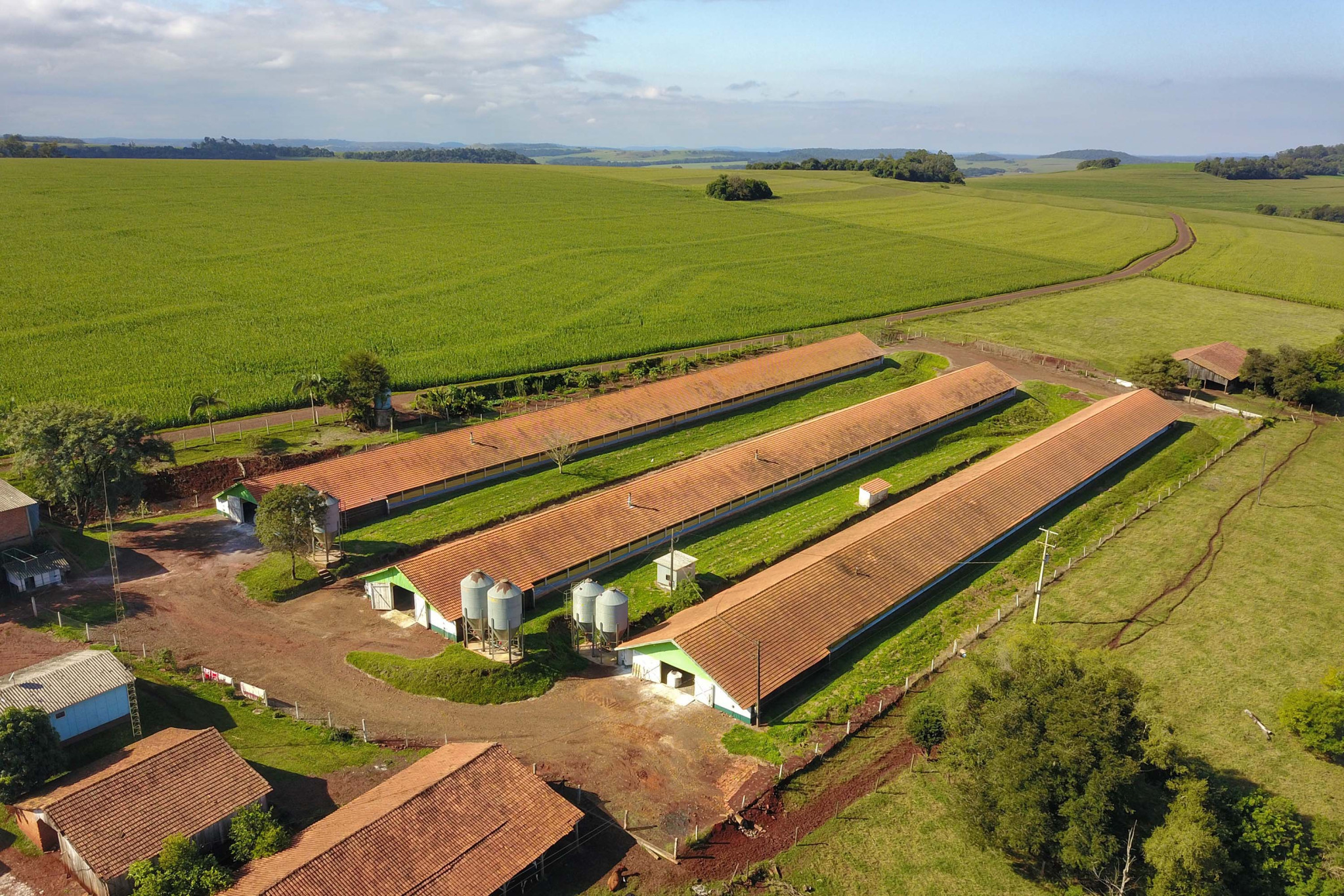 Audiência pública debate, nesta terça (12), PL do governo que muda legislação sobre licenciamento ambiental no PR