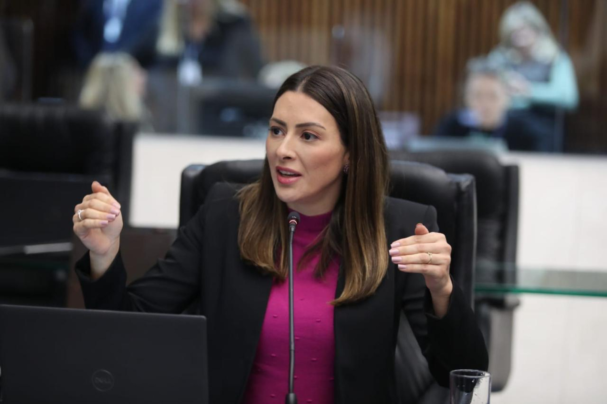 Julgamento da Lei do Parto Adequado no TJ-PR: deputada Mabel Canto (PSDB) defende constitucionalidade