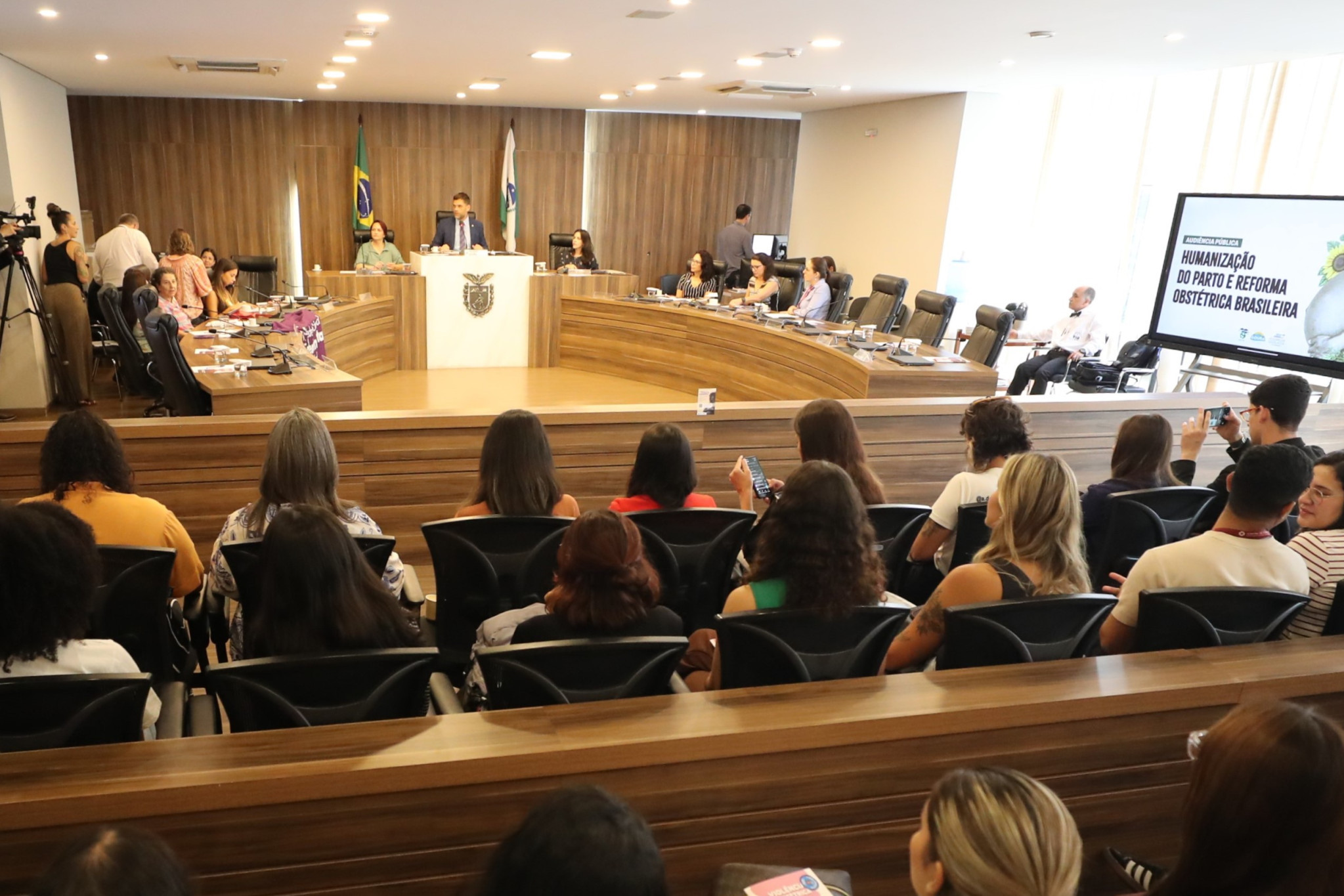 Assembleia Legislativa promove audiência pública sobre violência obstétrica e debate modernização do atendimento à mulher