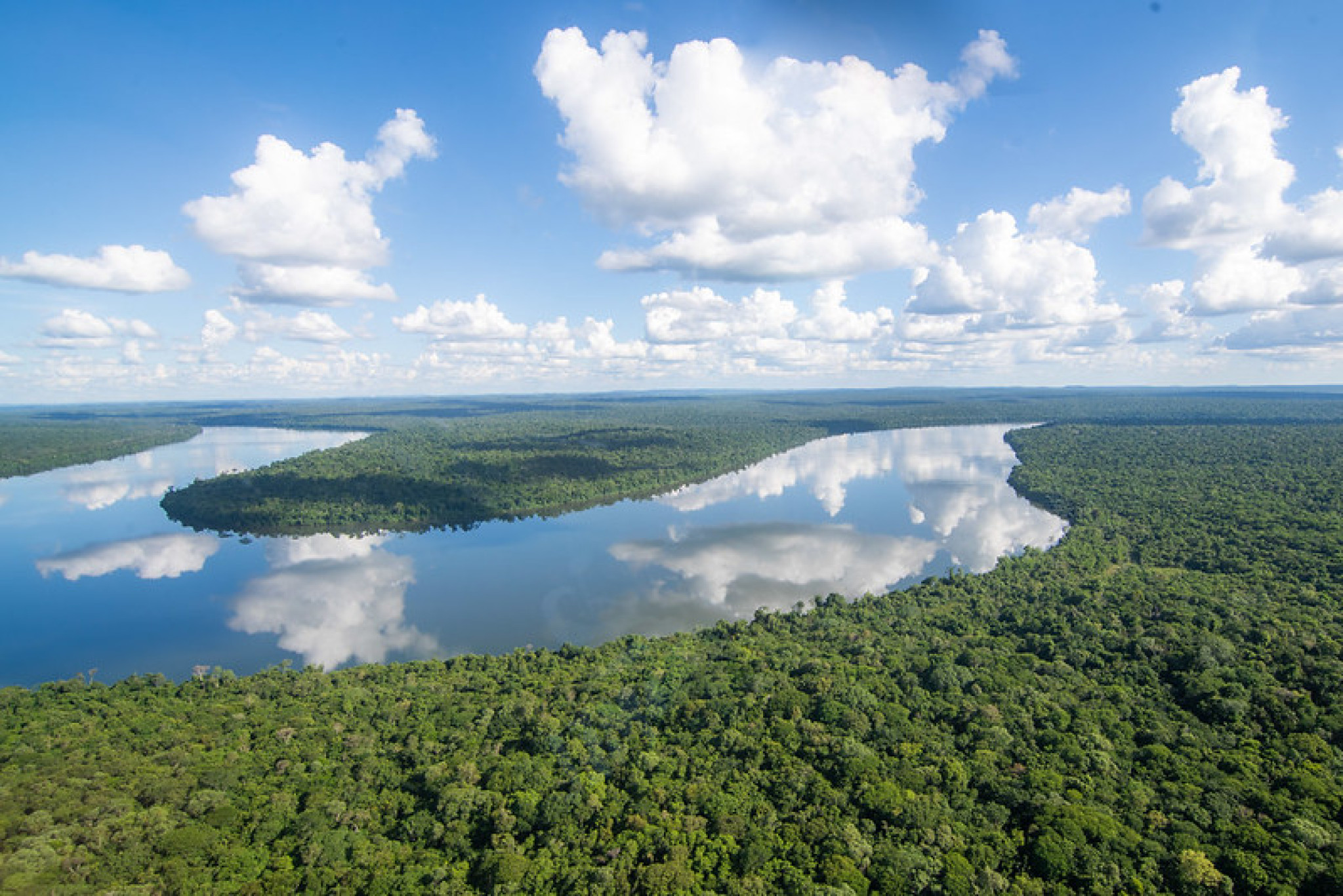 Deputado Goura (PDT) apresenta projeto de lei para eliminar espécies invasoras na bacia do Rio Iguaçu