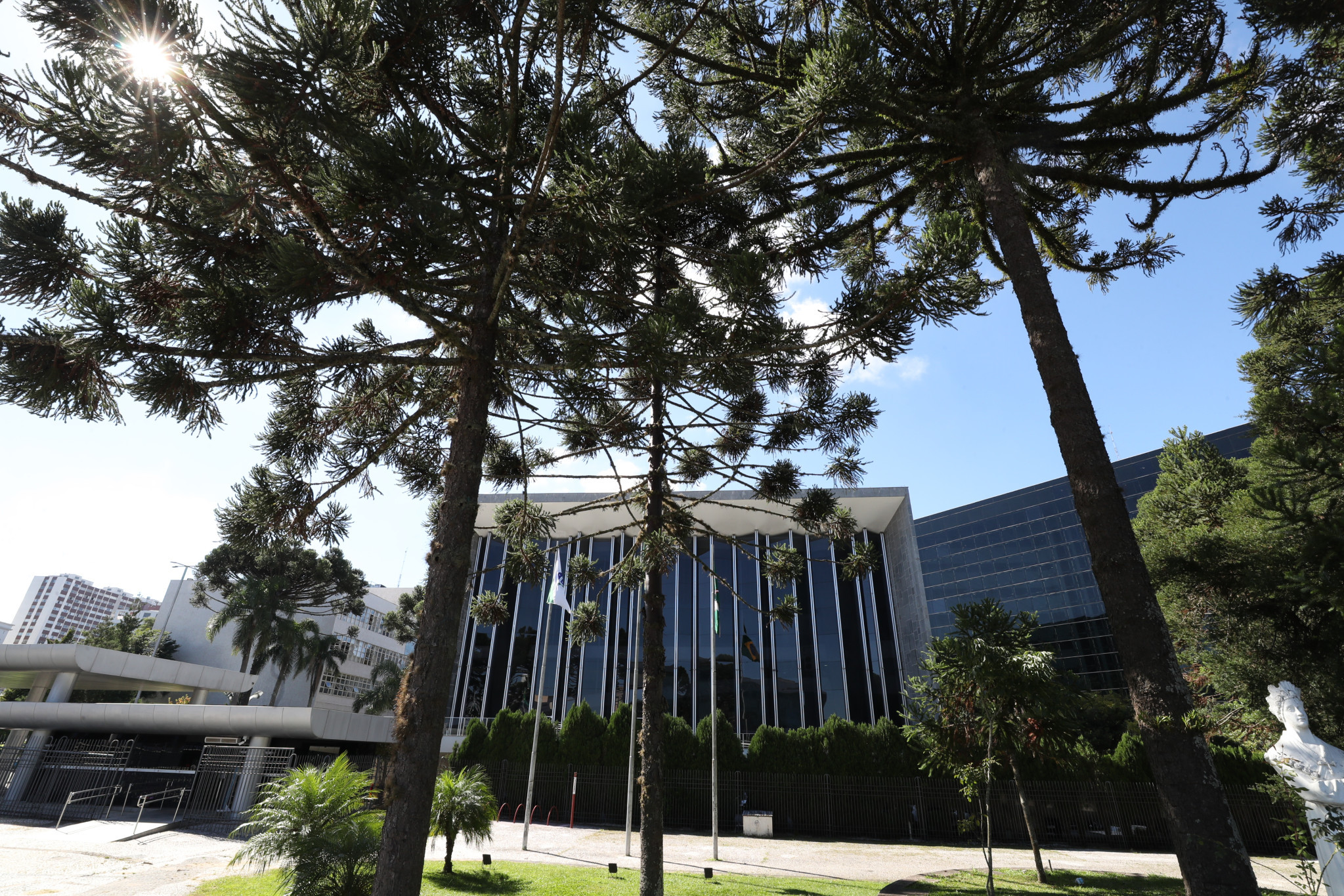 Proteção animal, combate ao bullying, segurança, meio ambiente e homenagens a instituições movimentam agenda legislativa