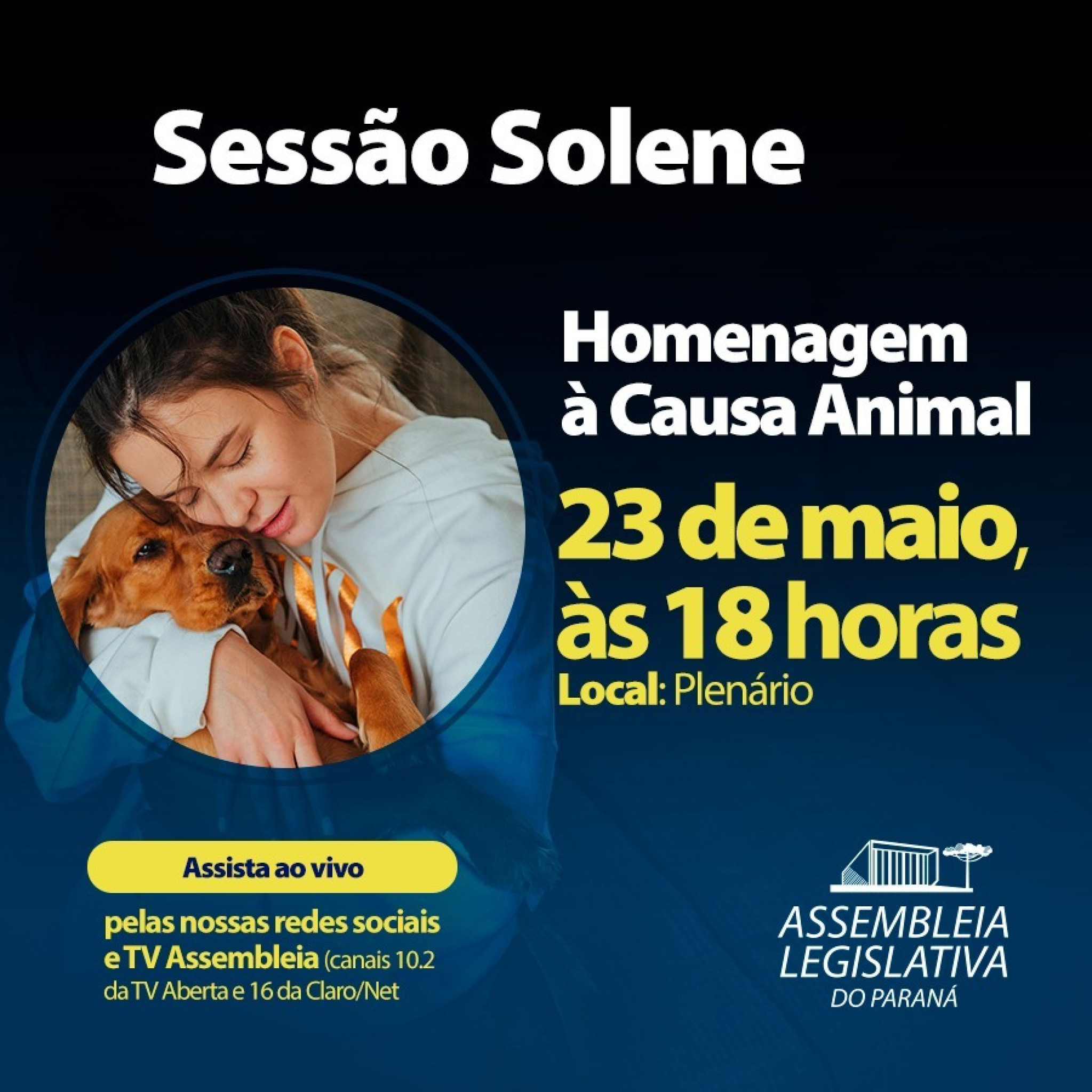 Assembleia Legislativa promove Sessão Solene para homenagear a causa animal