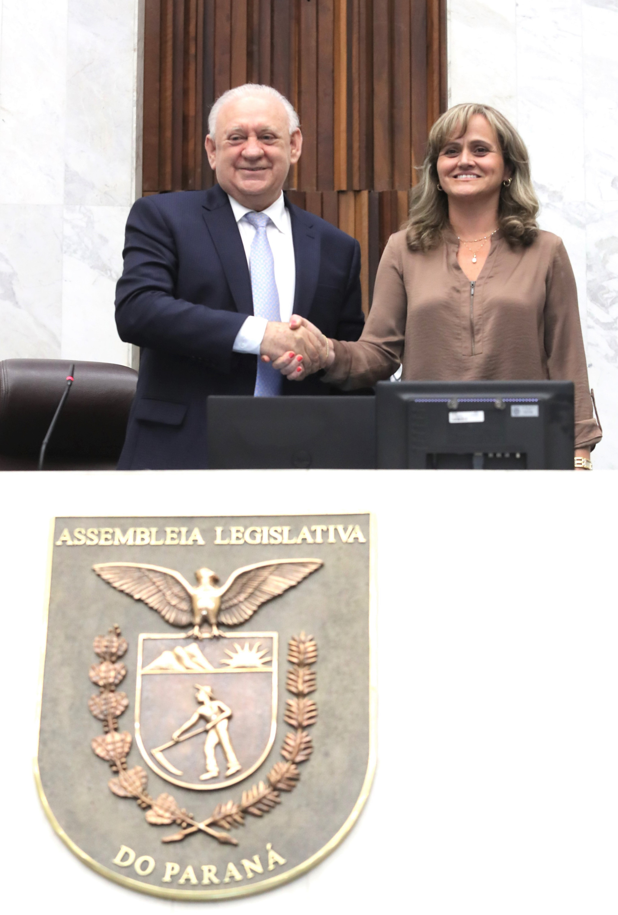 Diretora da Assembleia vai integrar Conselho Consultivo de Comunicação da Câmara dos Deputados