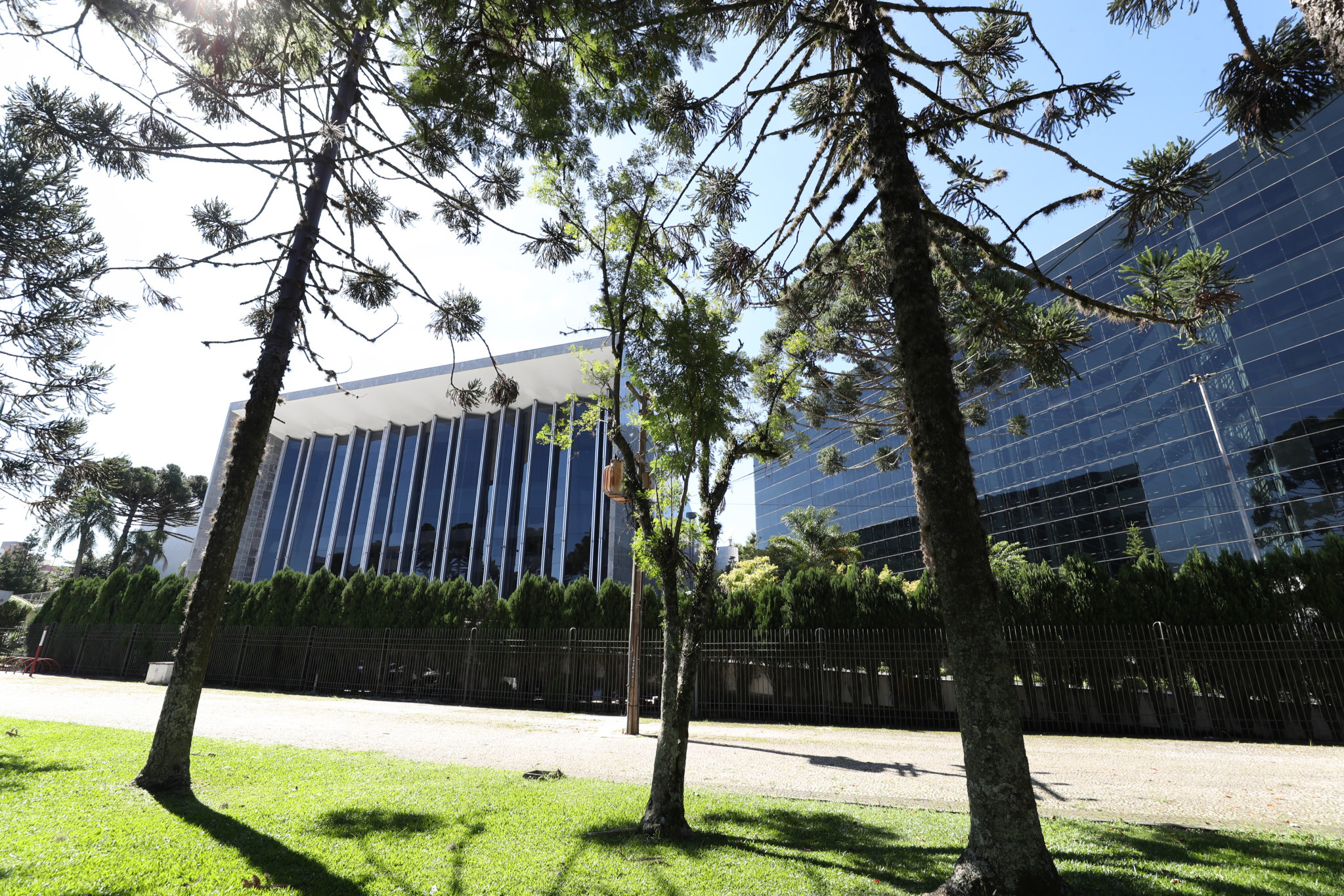 Agenda da Assembleia terá debates sobre proteção às mulheres, hidrogênio renovável e comunidades tradicionais do litoral