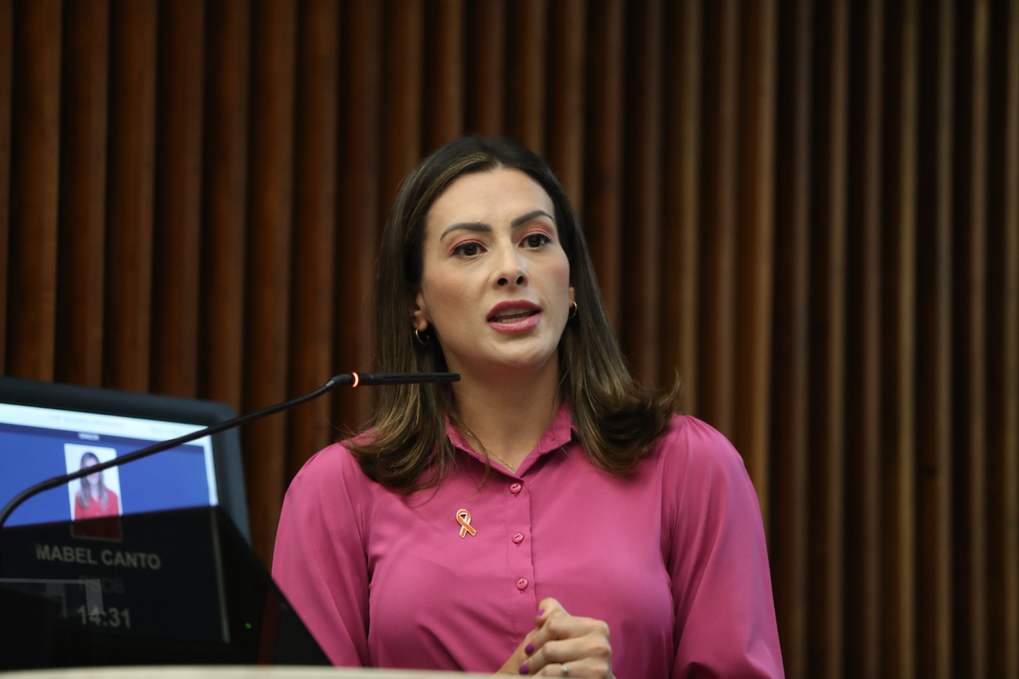 Deputada Mabel Canto (PSD) presta contas dos trabalhos da Bancada Feminina em 2023