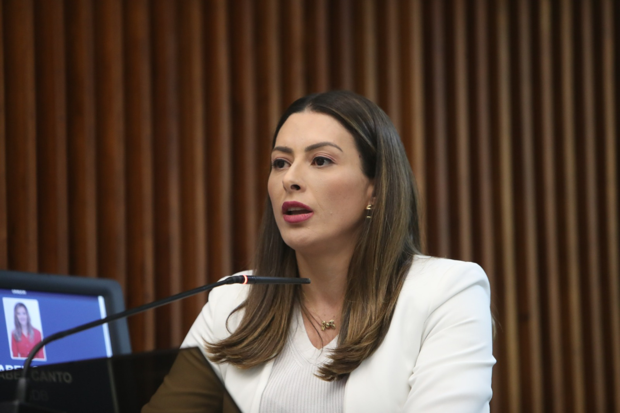 Deputada Mabel Canto (PSDB) recorrerá ao STF para garantir direito das mães escolherem via de parto