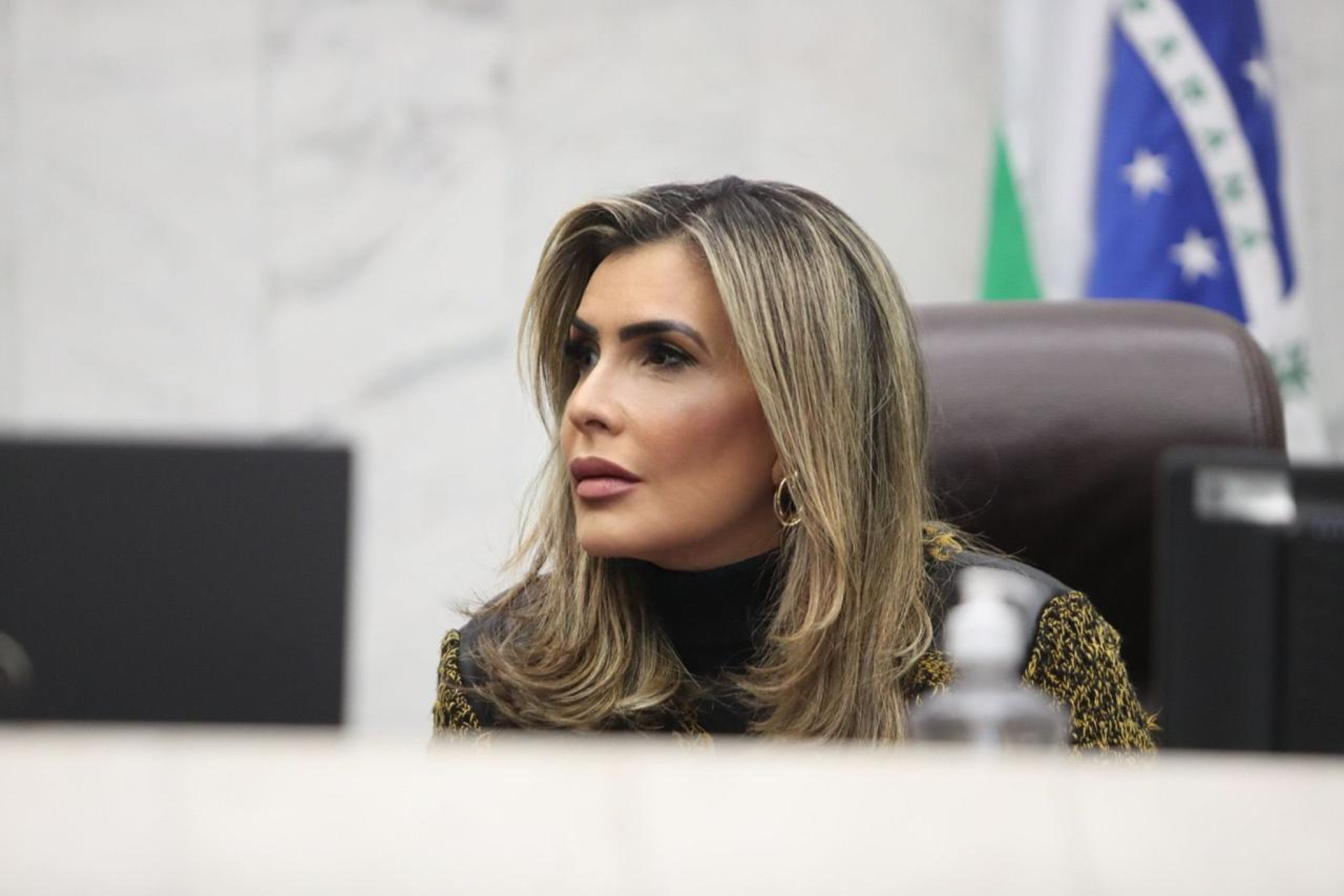 Deputada Flávia Francischini (União) propõe audiência pública após mais um caso de feminicídio na Grande Curitiba