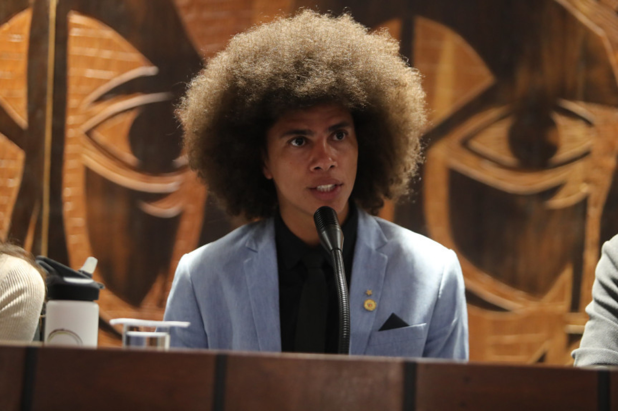 Dia da Consciência Negra: Audiência Pública debaterá o racismo nas escolas paranaenses nesta segunda-feira (20)