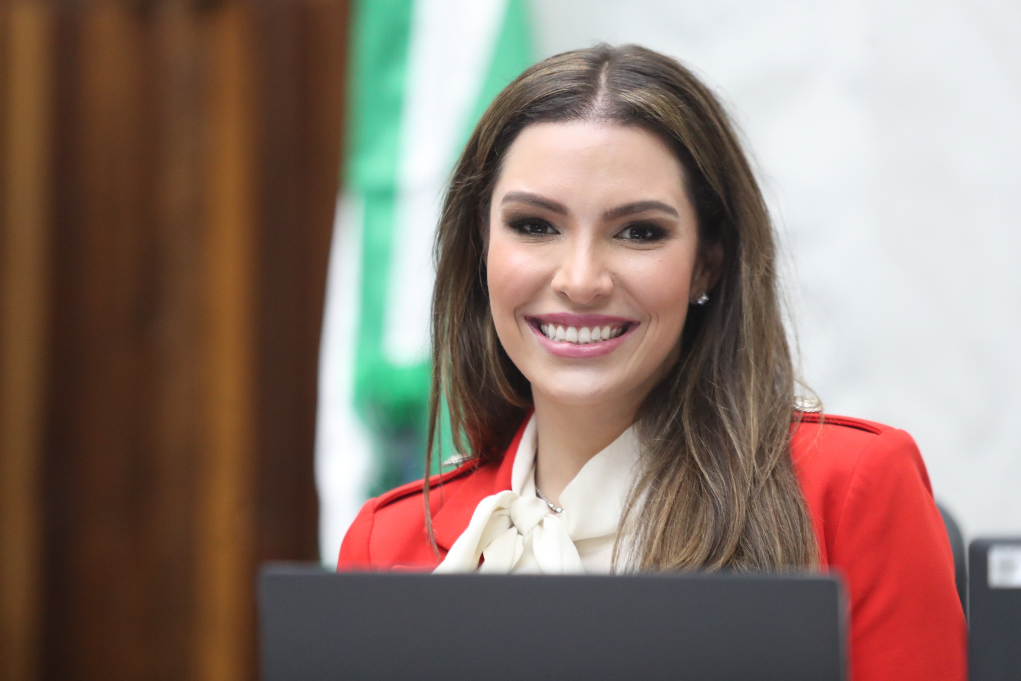 Deputada Maria Victoria (PP) defende uso e produção de biocarvão (biochar) no Paraná