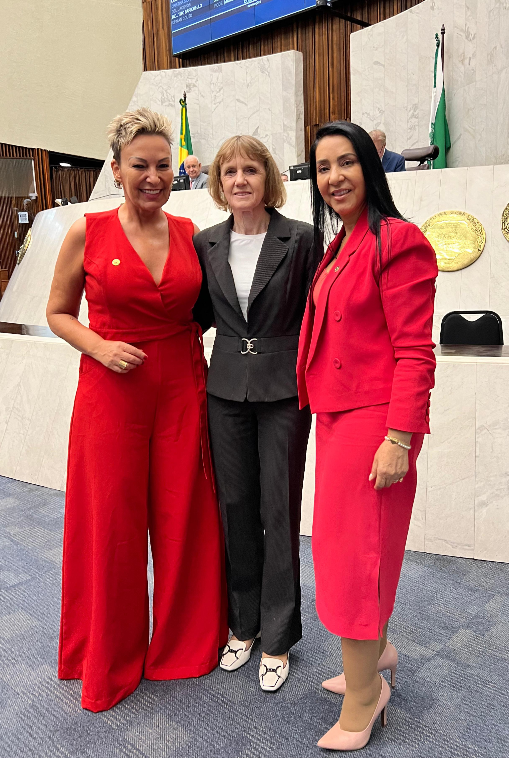 Assembleia Legislativa debate os reflexos do feminicídio em Audiência Pública