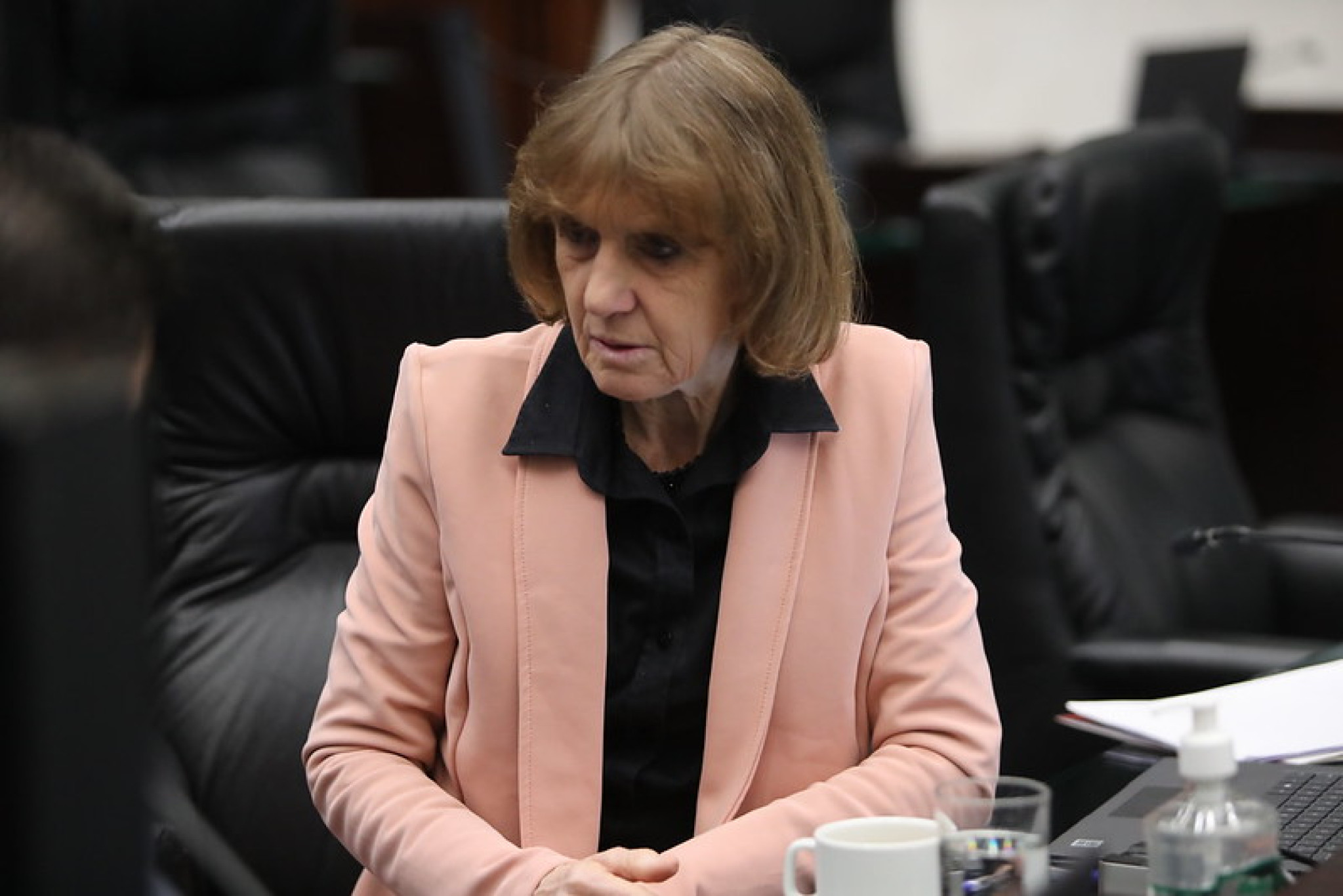 Bloco Parlamentar da Agricultura Familiar debate situação da Educação do Campo no Paraná