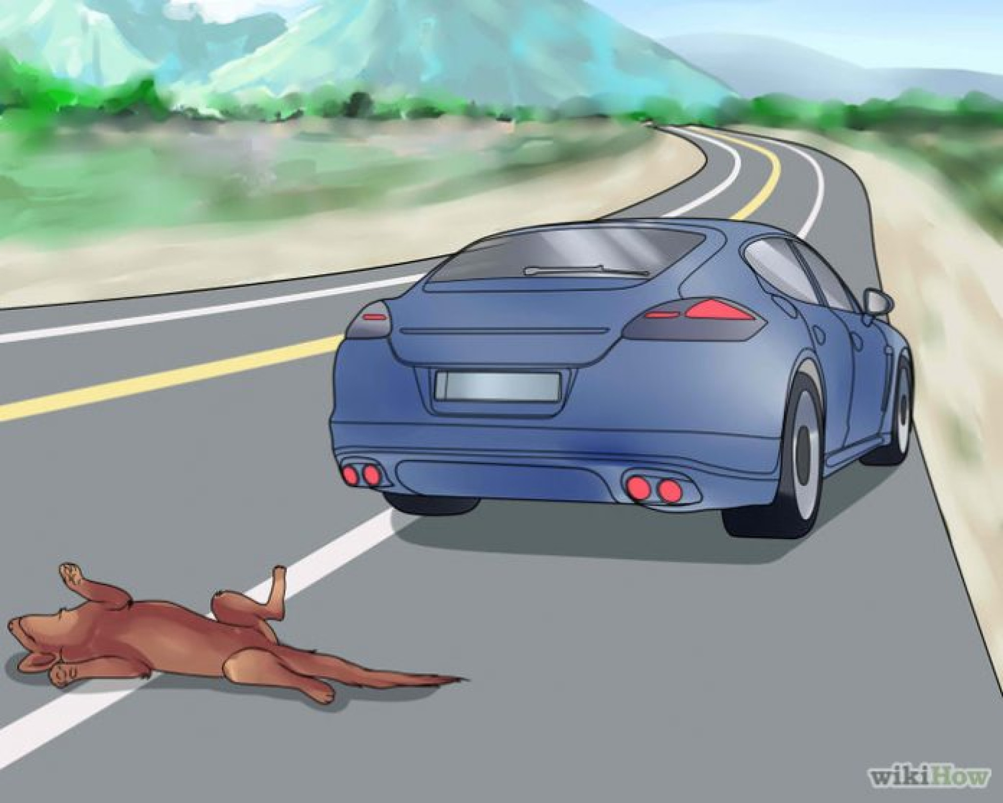 Motoristas deverão prestar socorro a animais atropelados