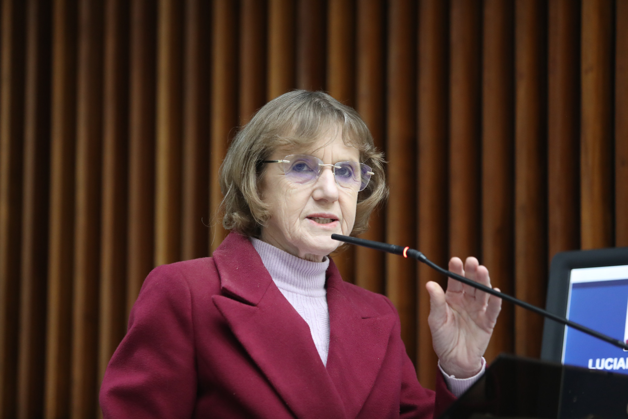 Bloco da Agricultura Familiar promove reunião sobre cultivo agroecológico da erva-mate sombreada