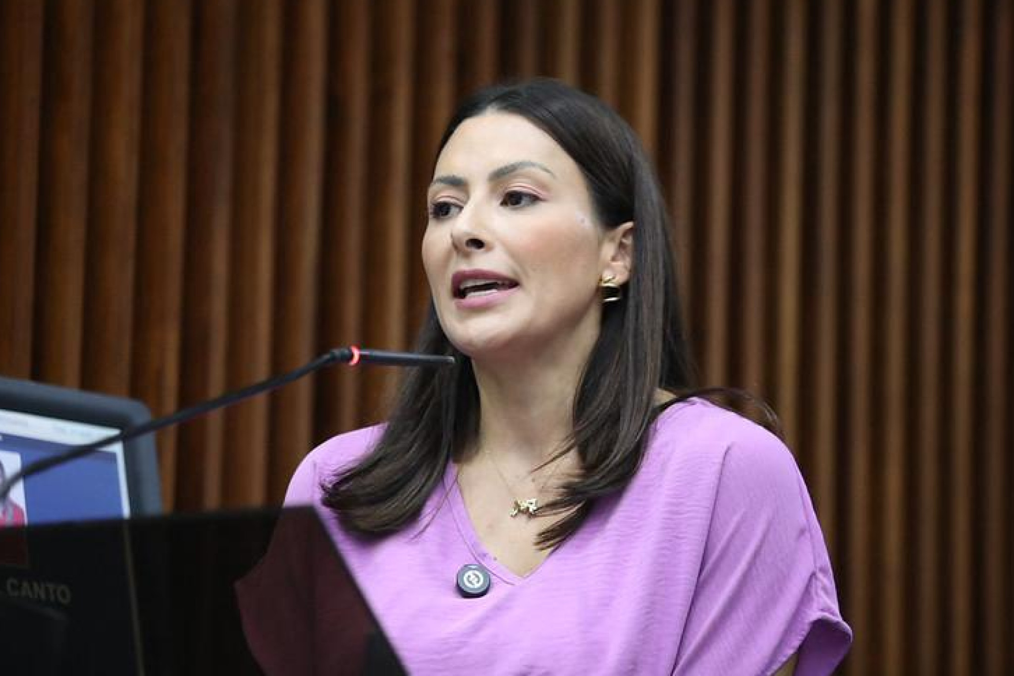 Projeto que busca conscientizar sobre a violência física e psicológica entre mulheres avança na Alep