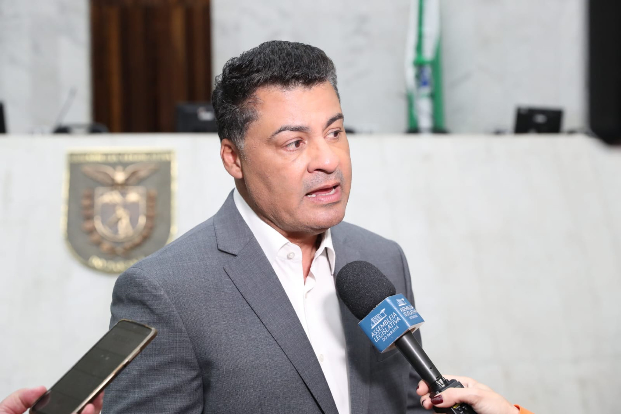 Projeto de lei no Paraná propõe incluir animais de estimação em medidas protetivas para casos de violência doméstica